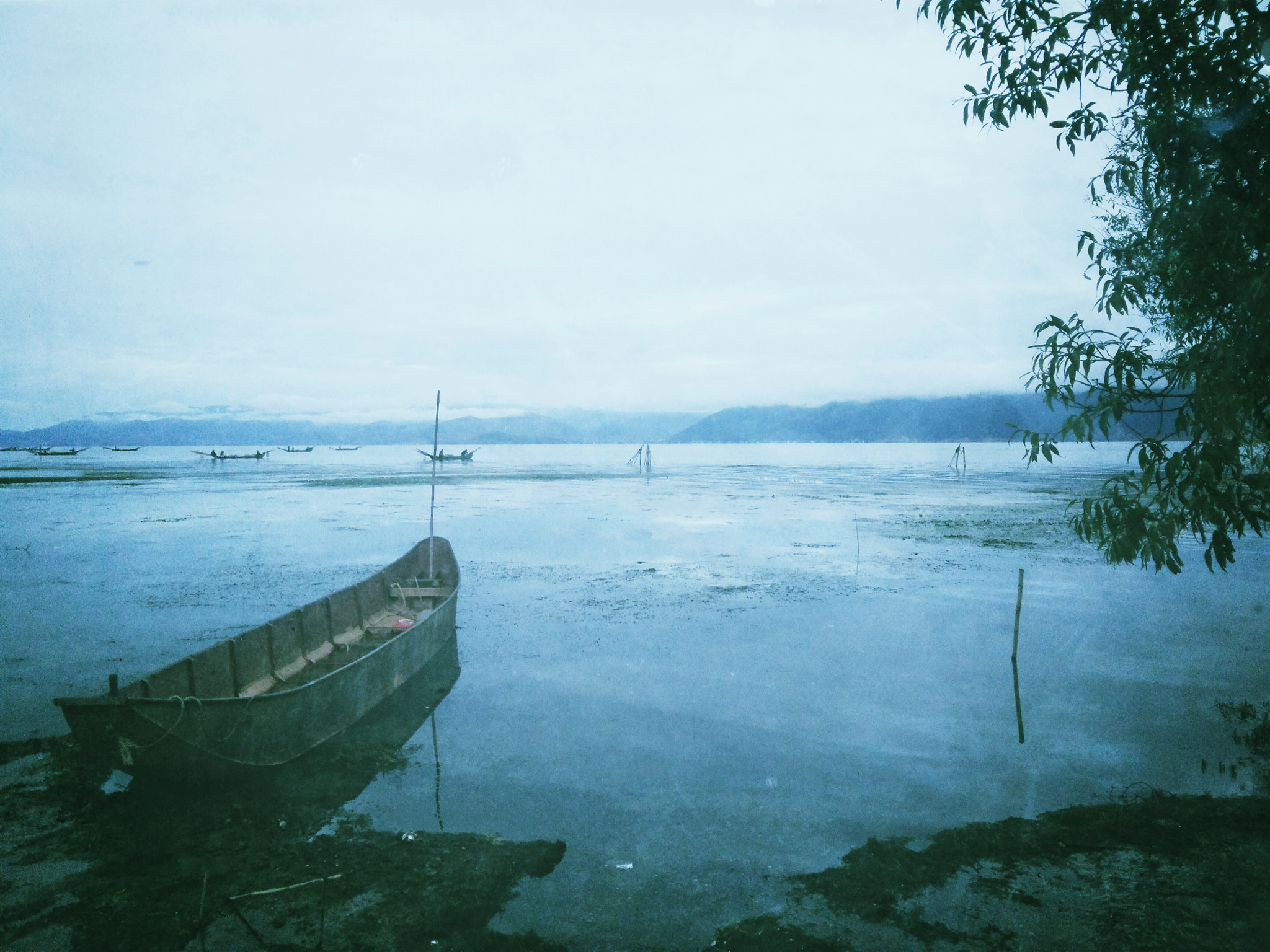 OnePlus ONE sample photo. 洱海 photography