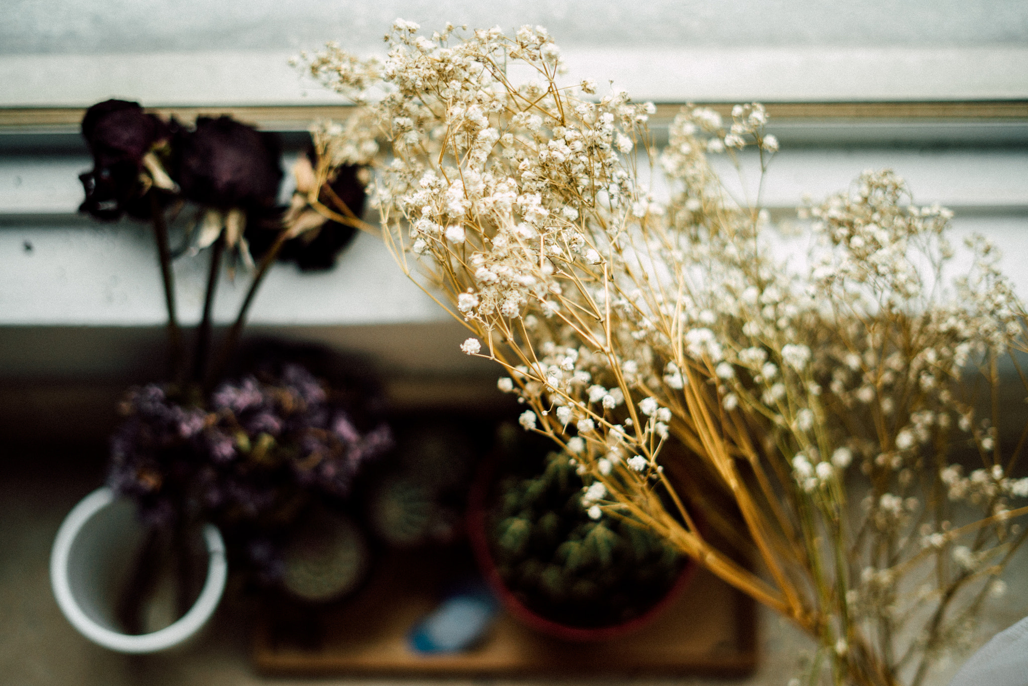 Sony FE 50mm F1.8 sample photo. Window light photography