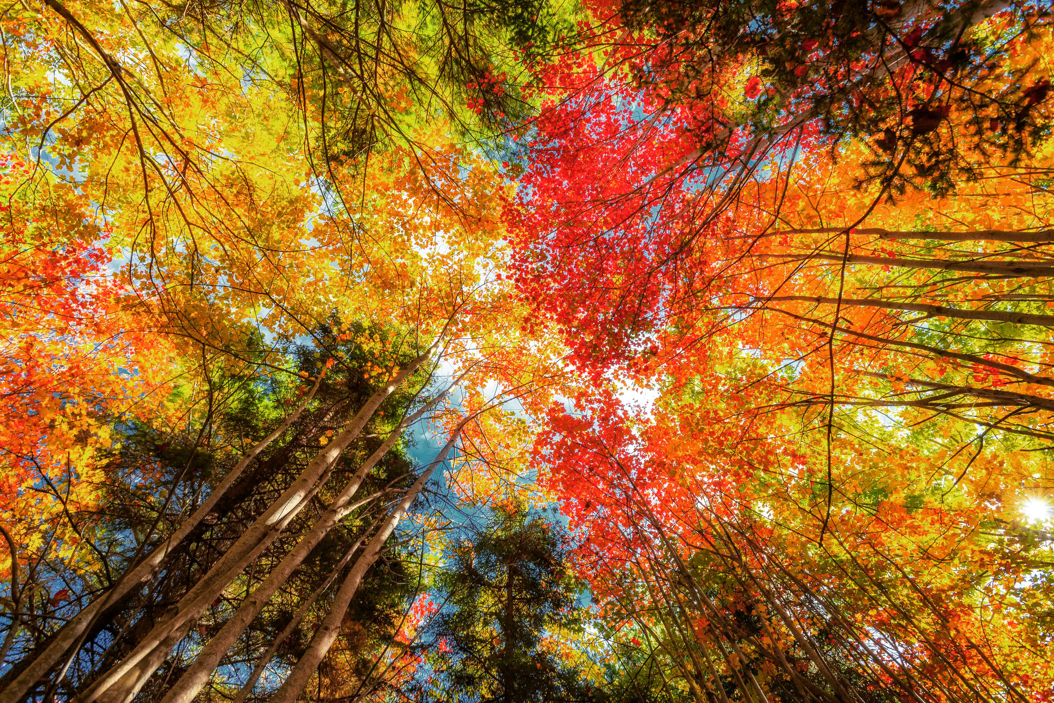 Nikon AF-S Nikkor 17-35mm F2.8D ED-IF sample photo. I'm going to be dreaming in these colors for a lon ... photography