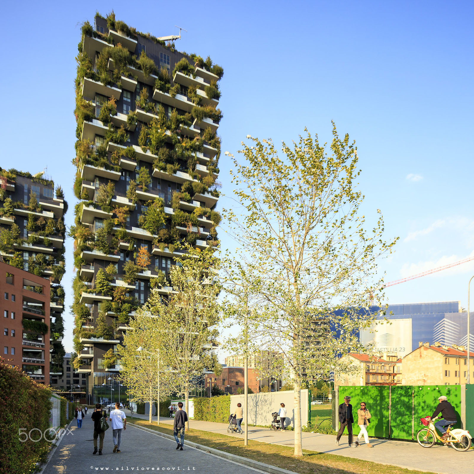 Sigma 17-35mm f/2.8-4 EX DG Aspherical HSM sample photo. Vertical forest - milan photography
