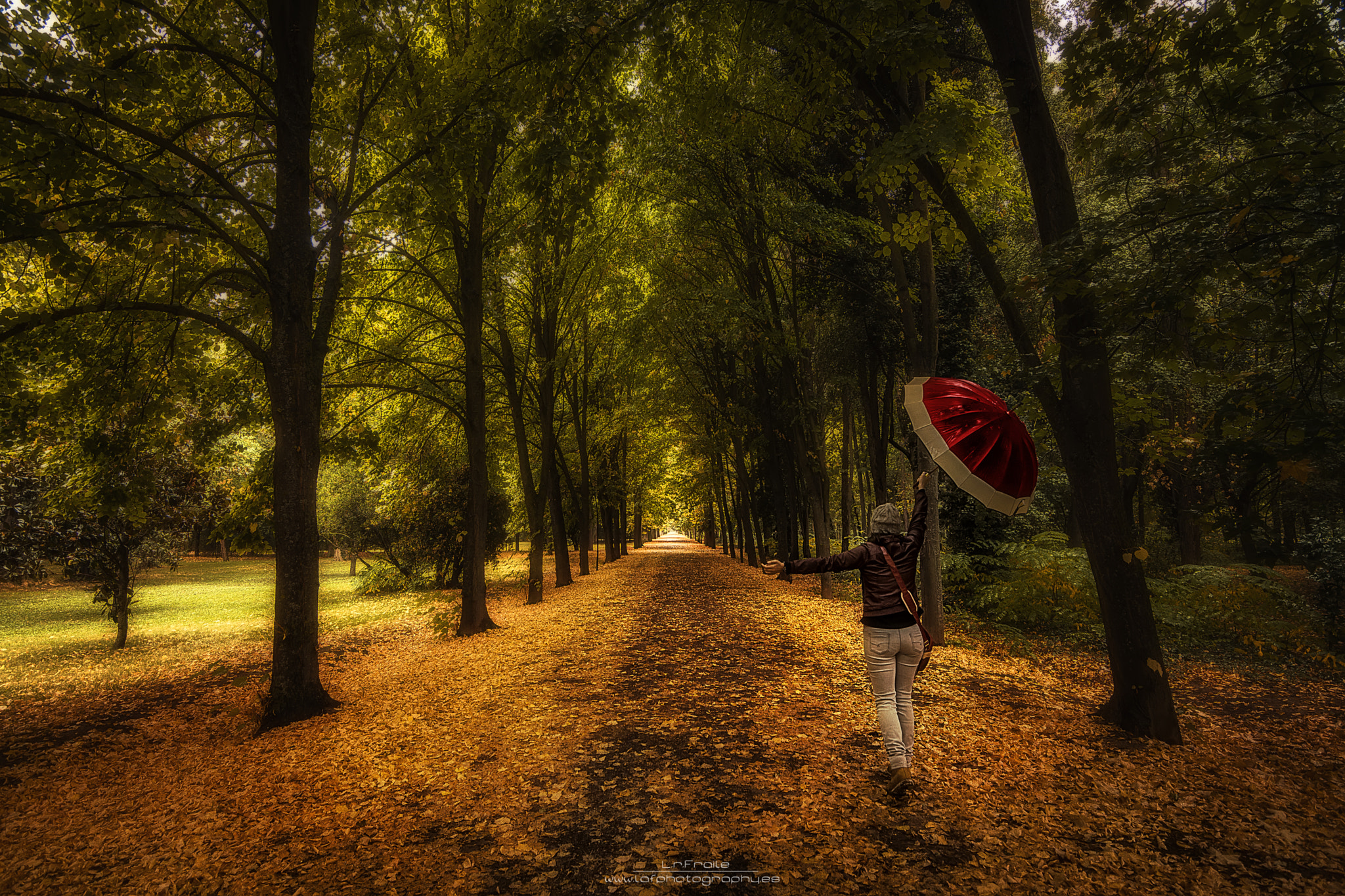 Sony SLT-A77 + 20mm F2.8 sample photo. "the road of life" photography