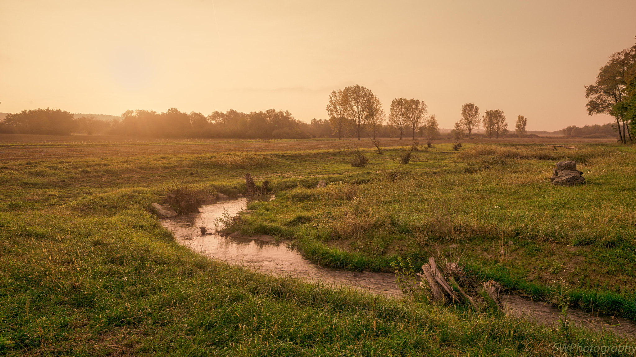 Sony a7 II + Sigma 24mm F1.4 DG HSM Art sample photo. Morning sun photography