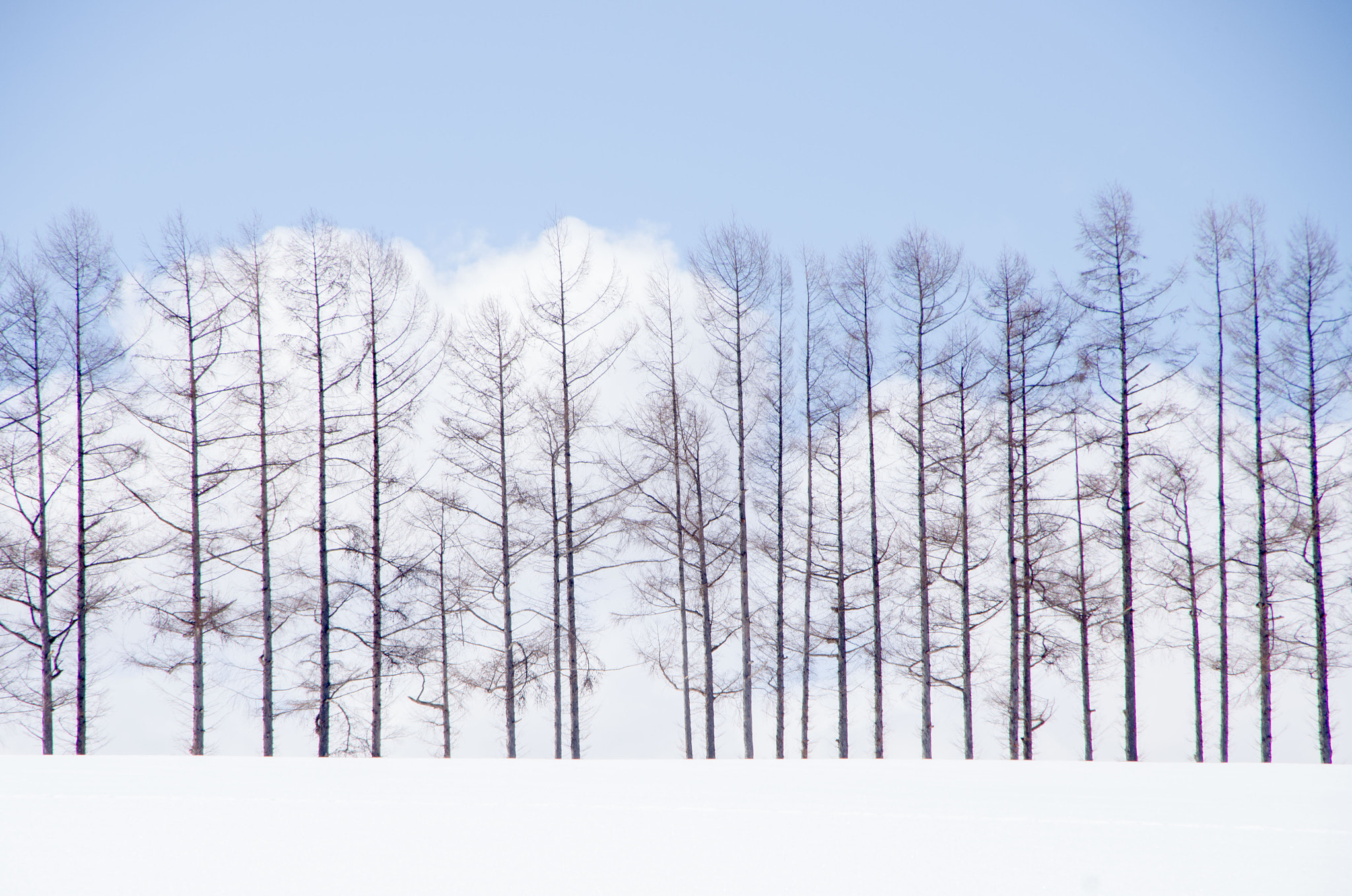 Pentax K-5 IIs sample photo