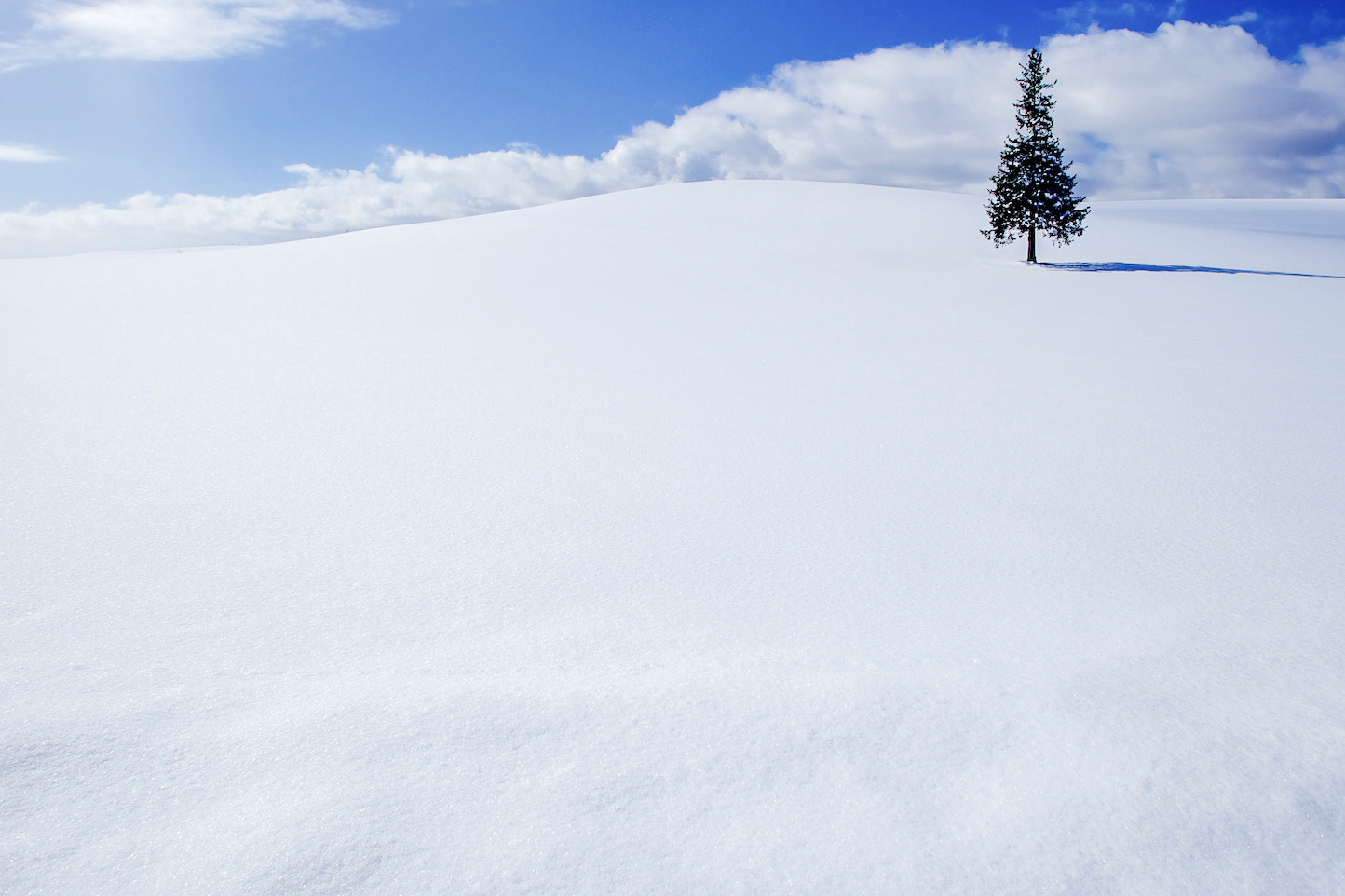 Canon EF 17-35mm f/2.8L sample photo