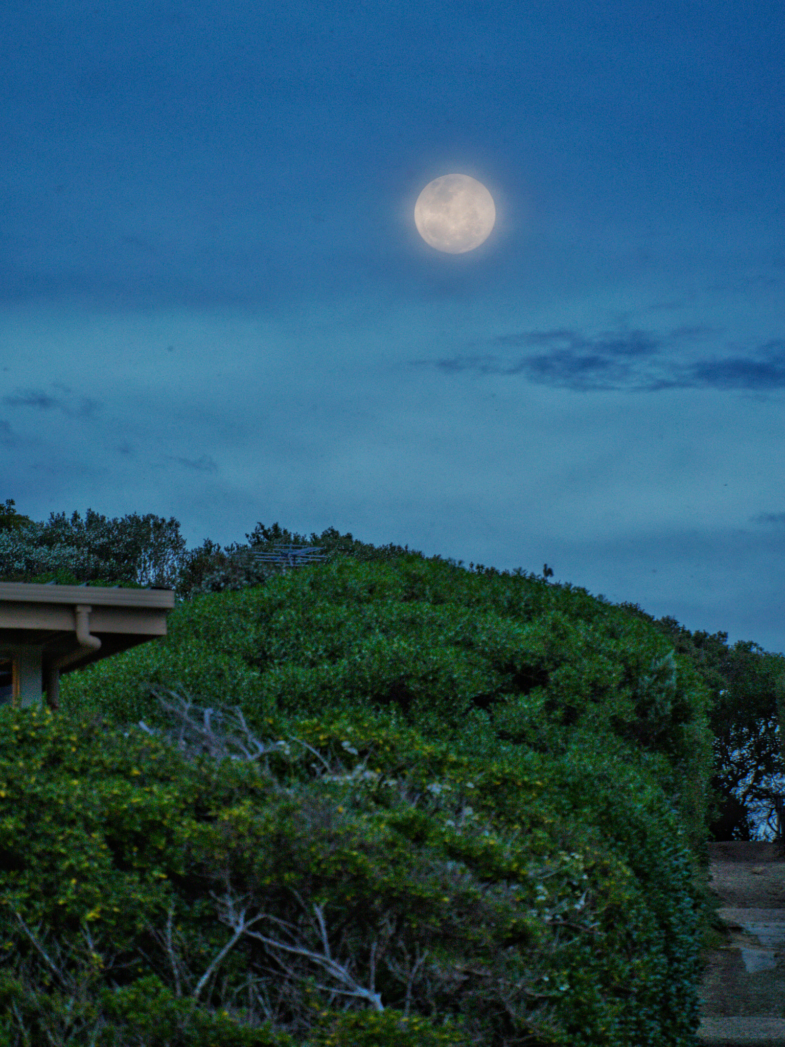 Olympus OM-D E-M10 sample photo. The full moon playing hide and seek with me.  touc ... photography