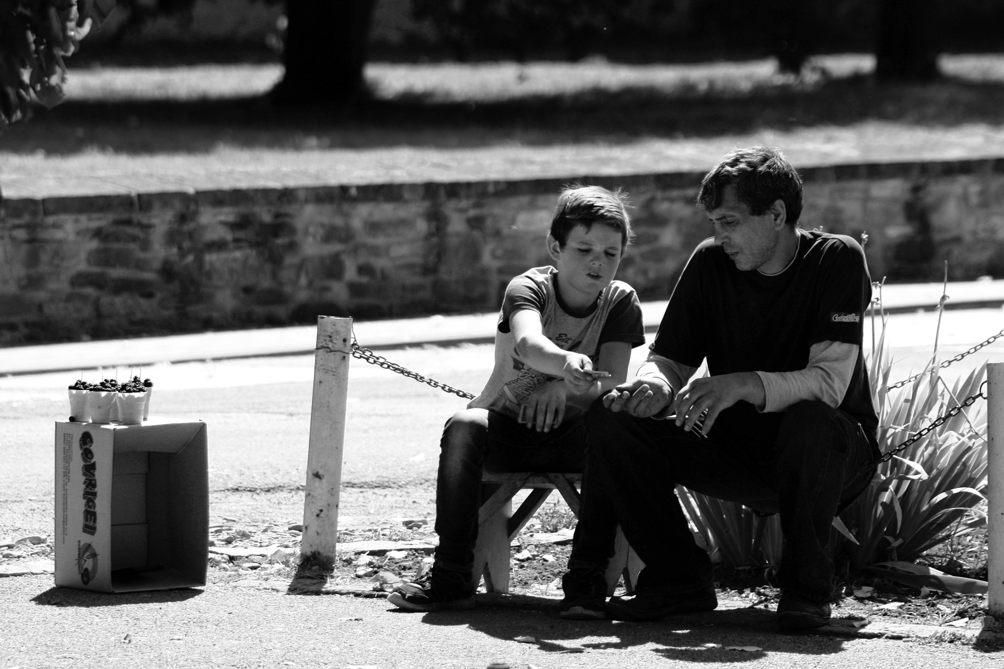 Canon EOS 450D (EOS Rebel XSi / EOS Kiss X2) + EF75-300mm f/4-5.6 sample photo. Bucovina photography