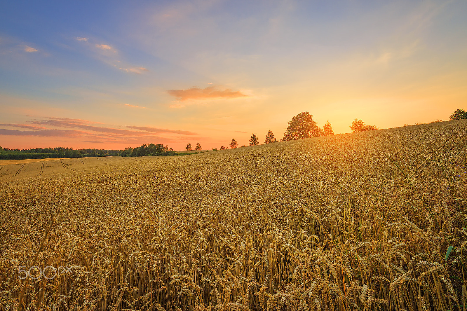 Canon EOS 6D + Canon EF 20mm F2.8 USM sample photo. Countryside, czech republic. photography