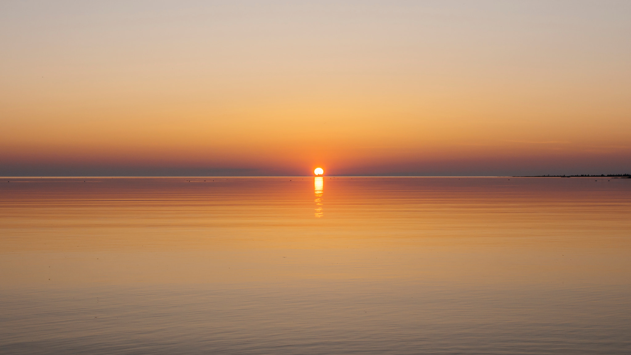 Olympus OM-D E-M5 + Panasonic Leica DG Summilux 25mm F1.4 II ASPH sample photo. Symmetry photography