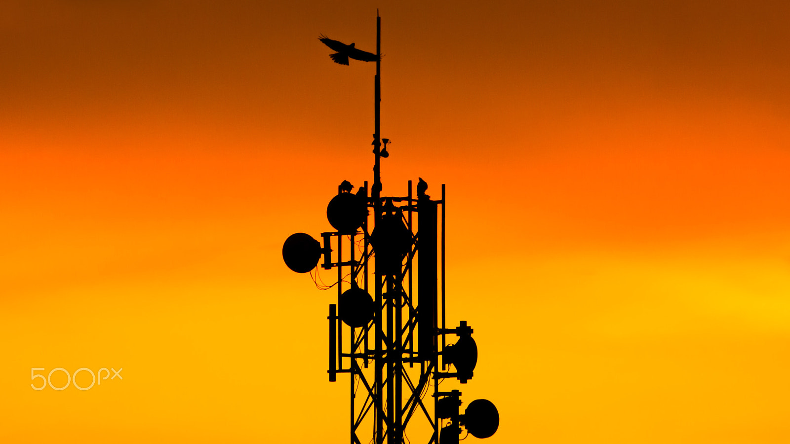 Canon EF 100-300mm f/5.6 sample photo. Communication tower photography