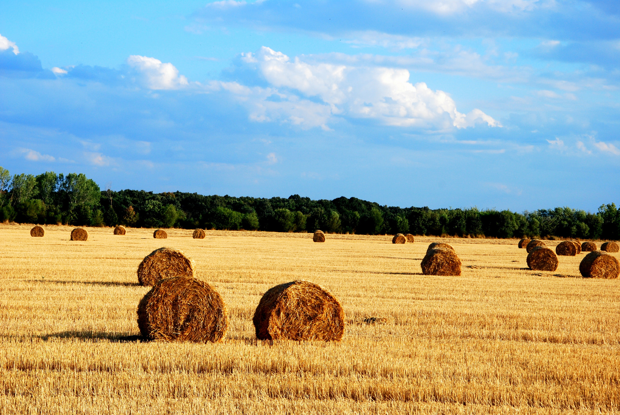 Nikon D40X sample photo. End of summer photography