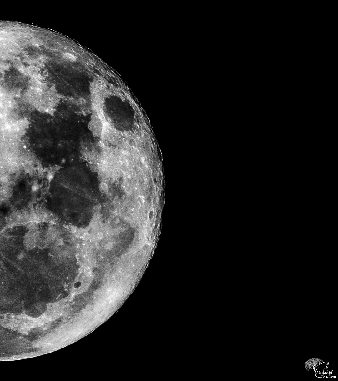 Sigma 150-500mm F5-6.3 DG OS HSM sample photo. The bitter half photography