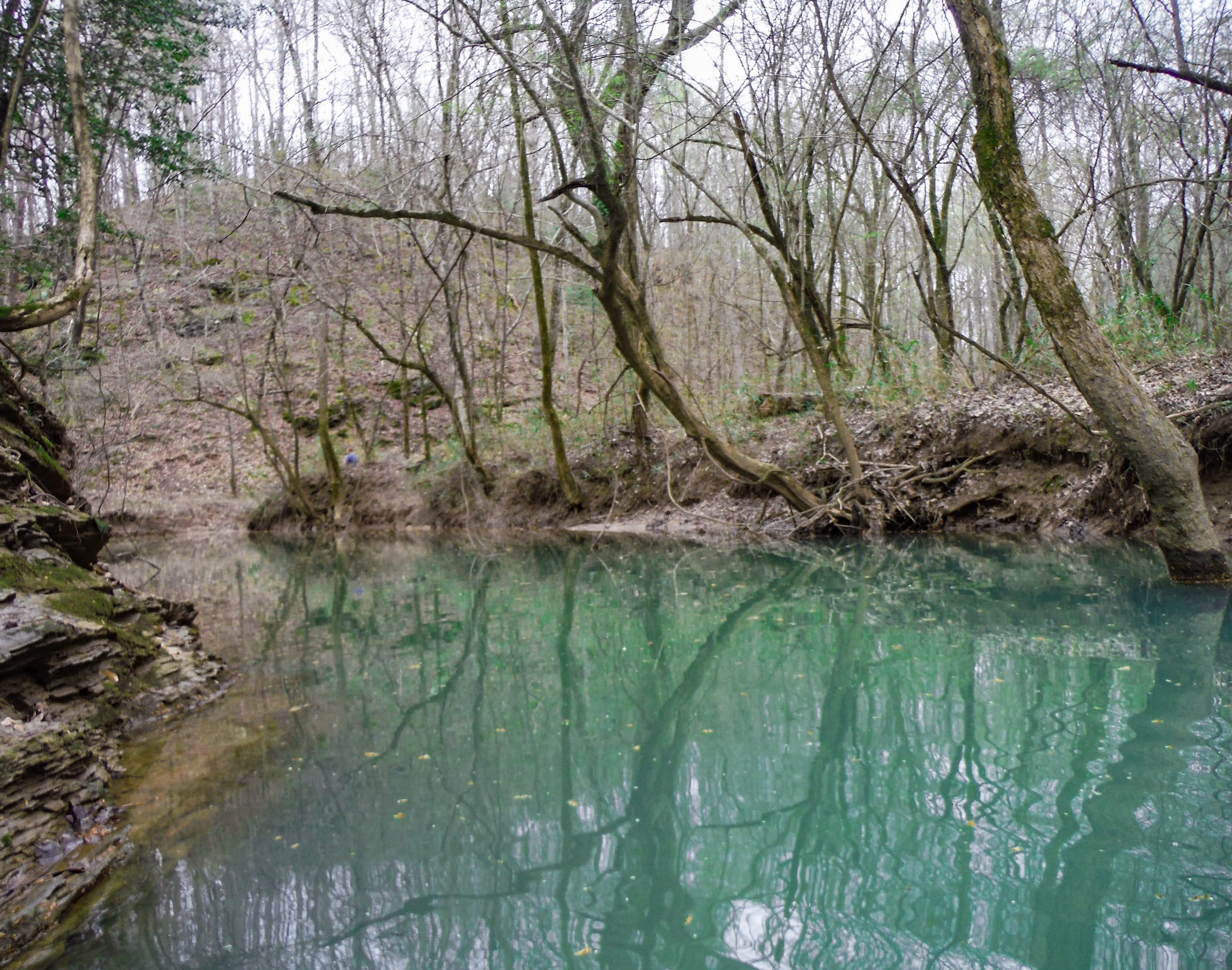 Fujifilm FinePix XP70 XP71 XP75 sample photo. An emerald creek feeding the cahaba river photography