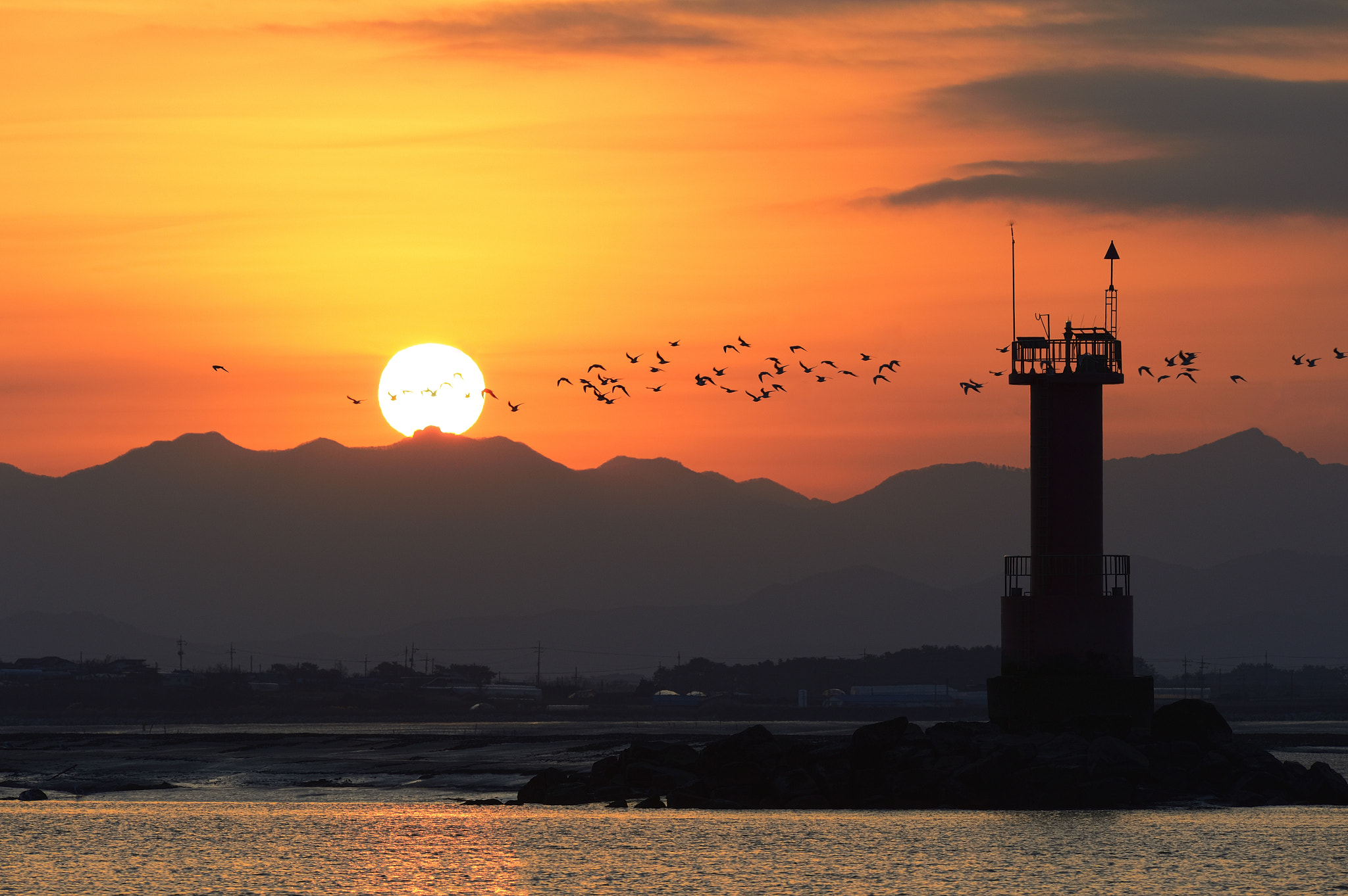 Nikon Nikkor AF-S 300mm F4E PF ED VR sample photo. Homely... photography