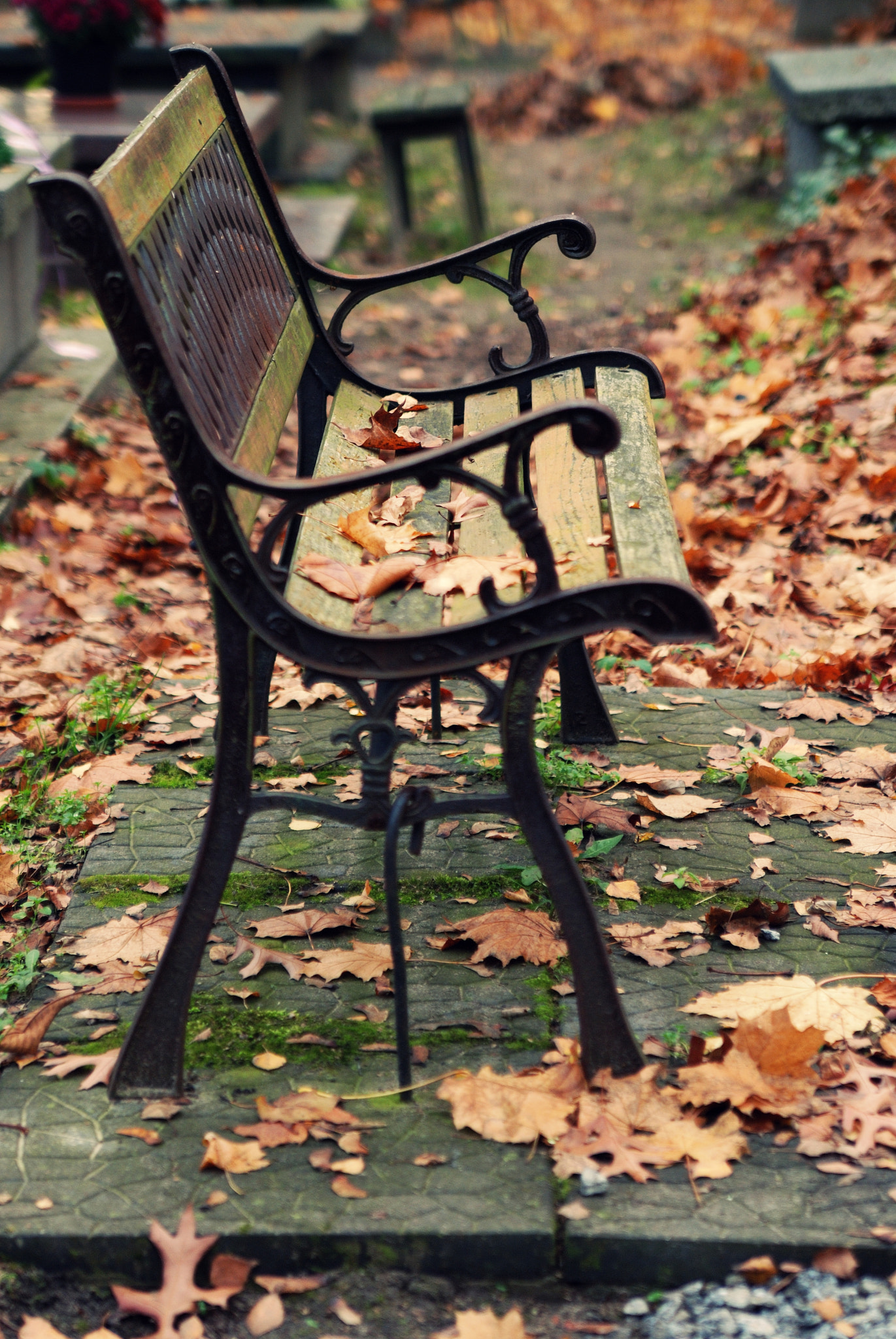 Nikon D80 sample photo. Let's have a seat. photography