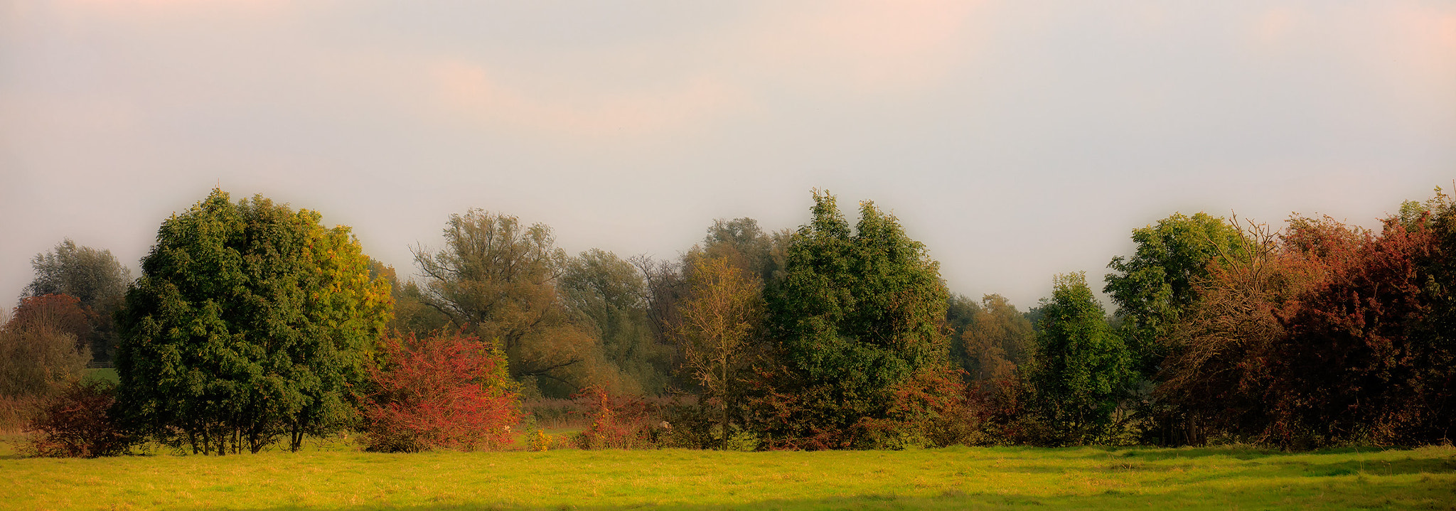 Canon EOS 5DS R sample photo. Autumn palet photography