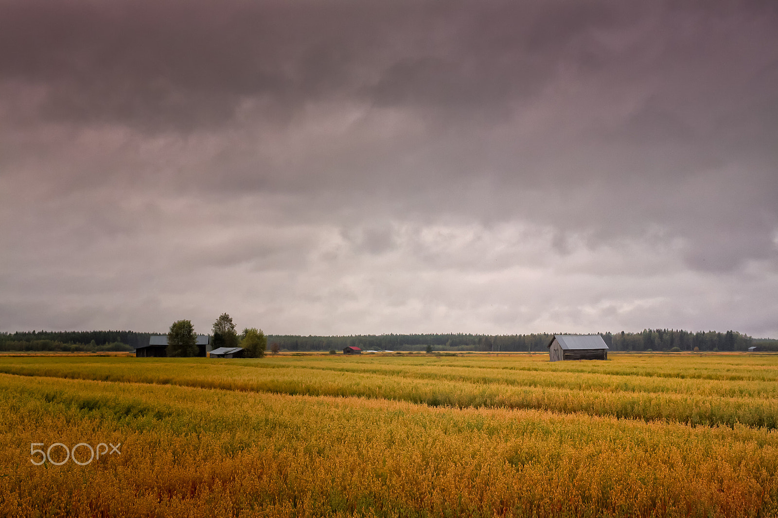 Canon EOS 50D + Canon EF 40mm F2.8 STM sample photo. Rainy clouds over the fields photography