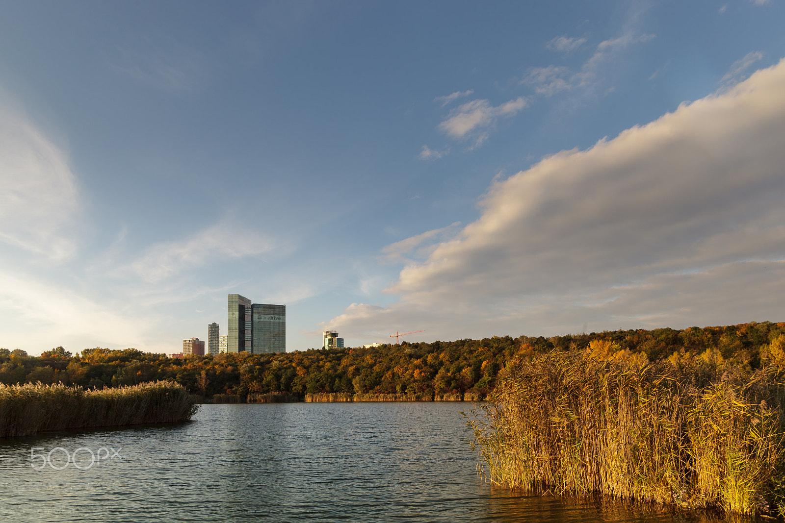 Canon EOS 5D Mark II + Canon EF 24-85mm F3.5-4.5 USM sample photo. Wienerbergteich photography