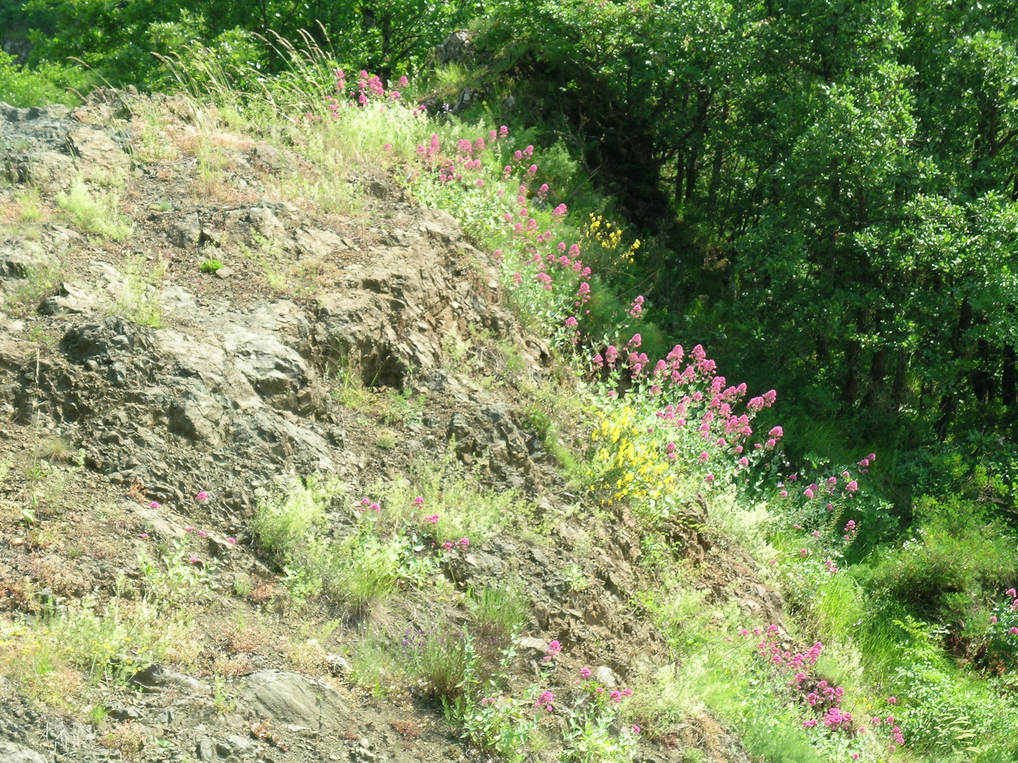 Nikon E5400 sample photo. Colori di garfagnana photography