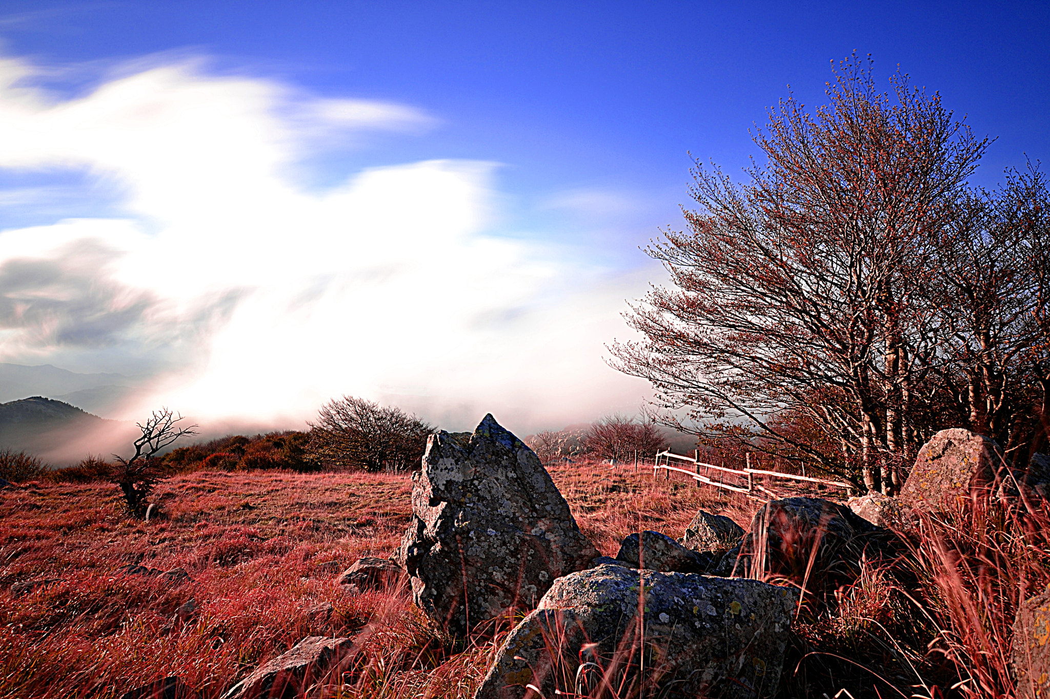 Nikon D3100 + Sigma 10-20mm F3.5 EX DC HSM sample photo. Wind and fog photography