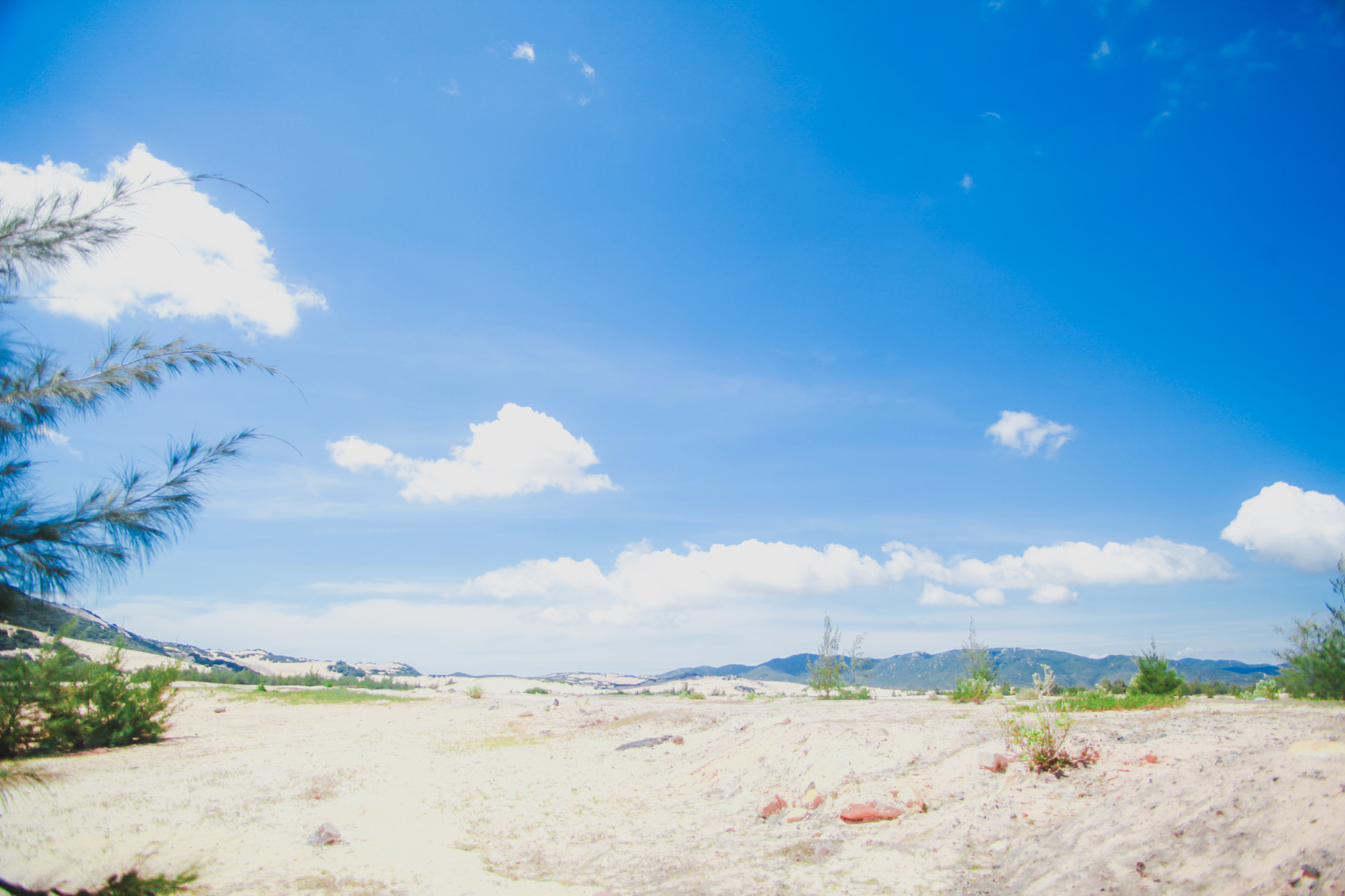 Canon EF 20-35mm F3.5-4.5 USM sample photo. Nha trang viet nam photography