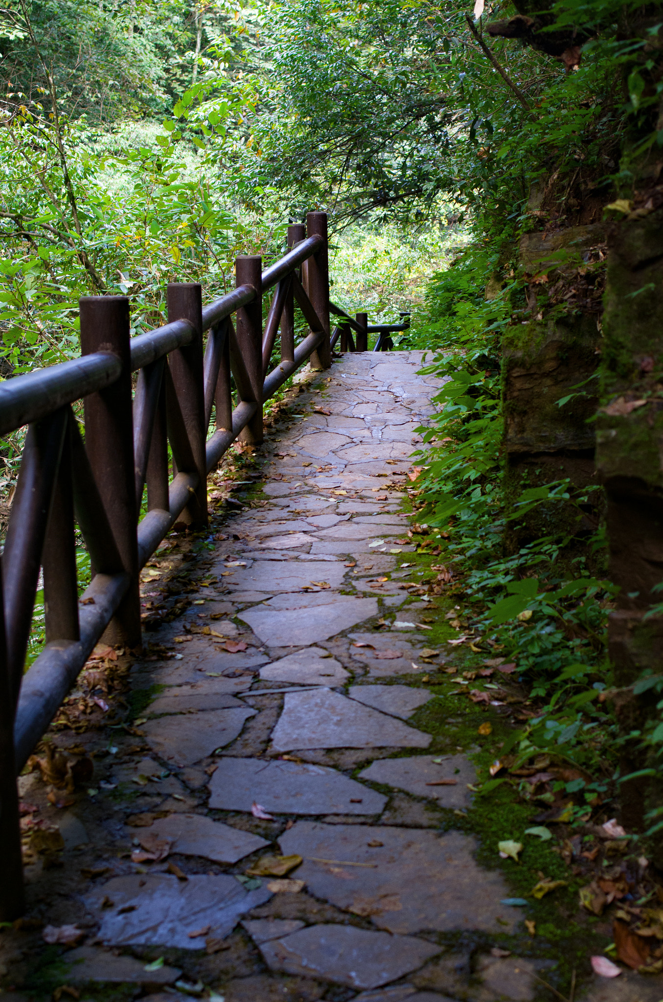 Pentax K-50 + Pentax smc DA 35mm F2.4 AL sample photo. Four cave gorge in enshi，hubei province，china. photography