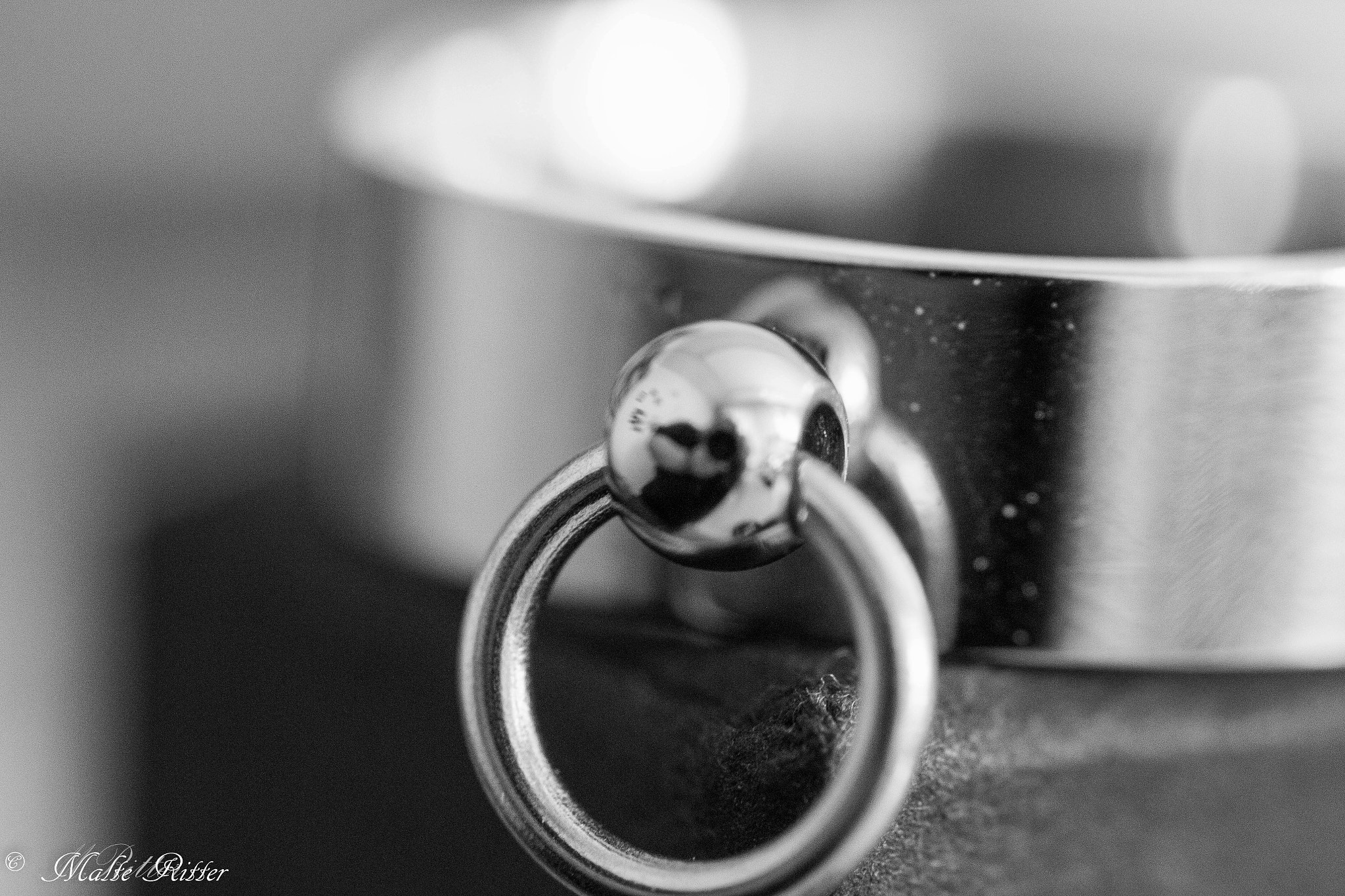 Canon EOS 70D + Tamron SP AF 90mm F2.8 Di Macro sample photo. Ein ring sie zu binden. photography