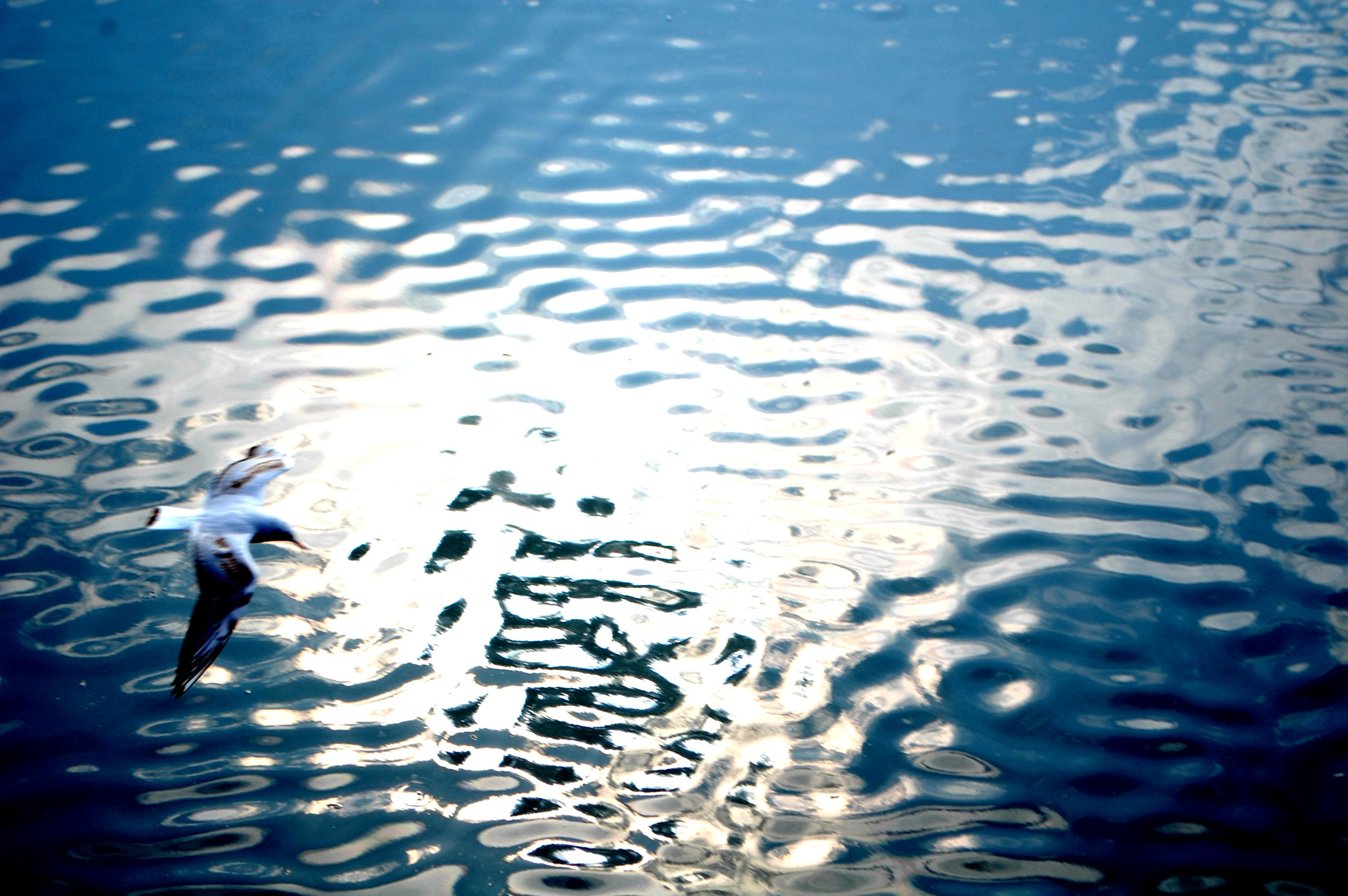 Nikon D40 sample photo. Glide photography