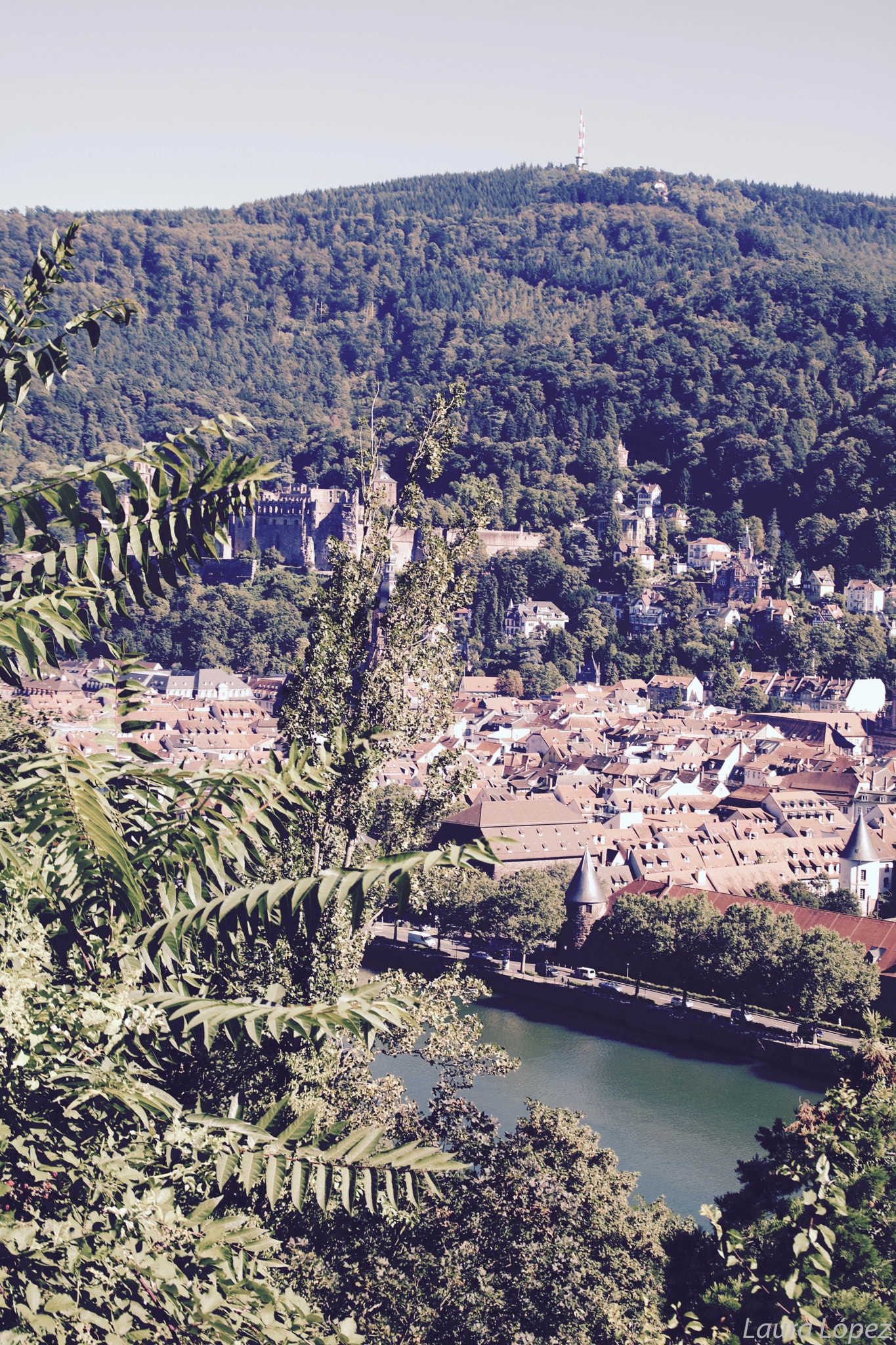 Canon EOS 760D (EOS Rebel T6s / EOS 8000D) sample photo. Heidelberg (alemania) photography