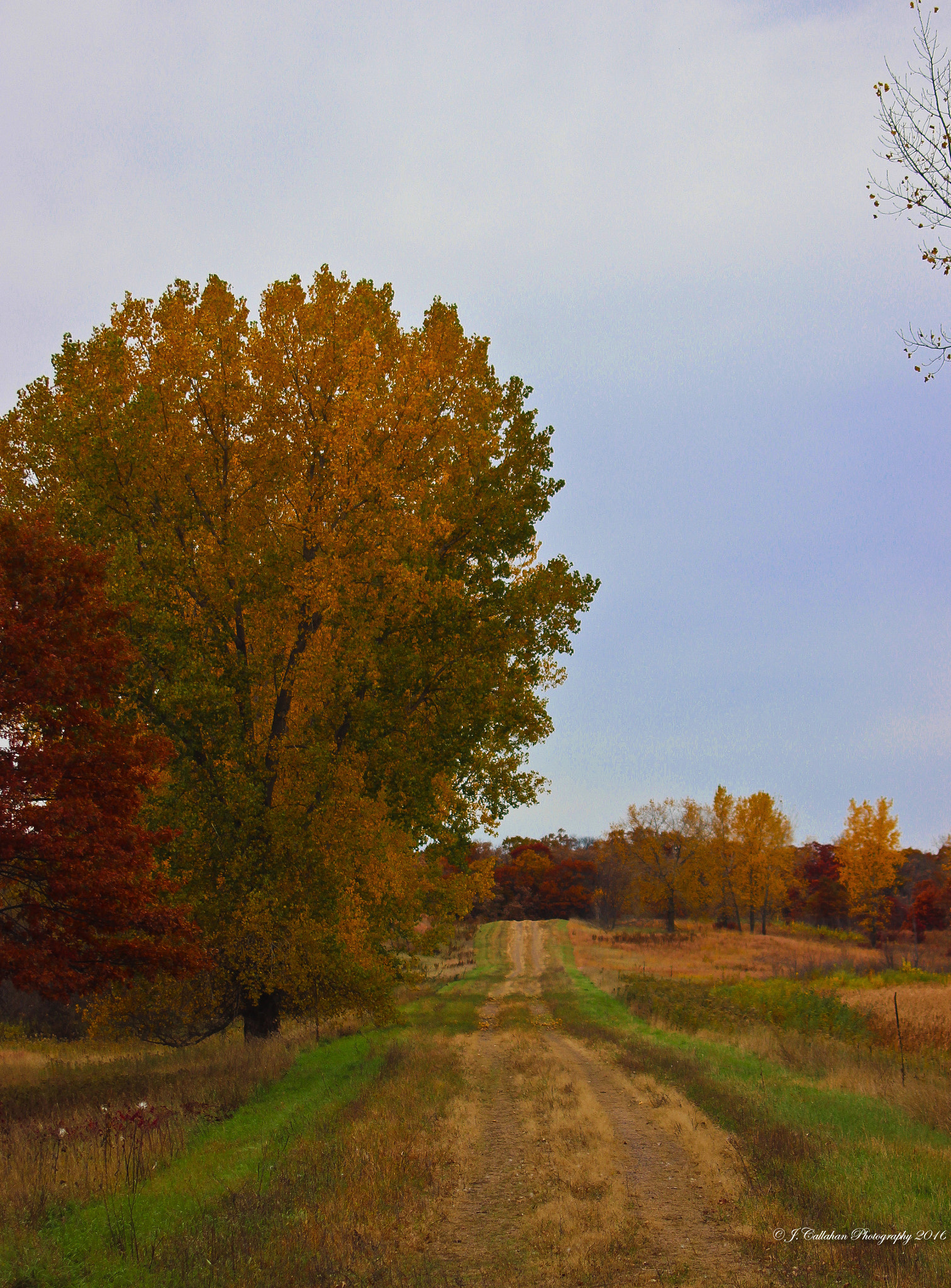 Canon EF 80-200mm F4.5-5.6 II sample photo. Fall paths photography