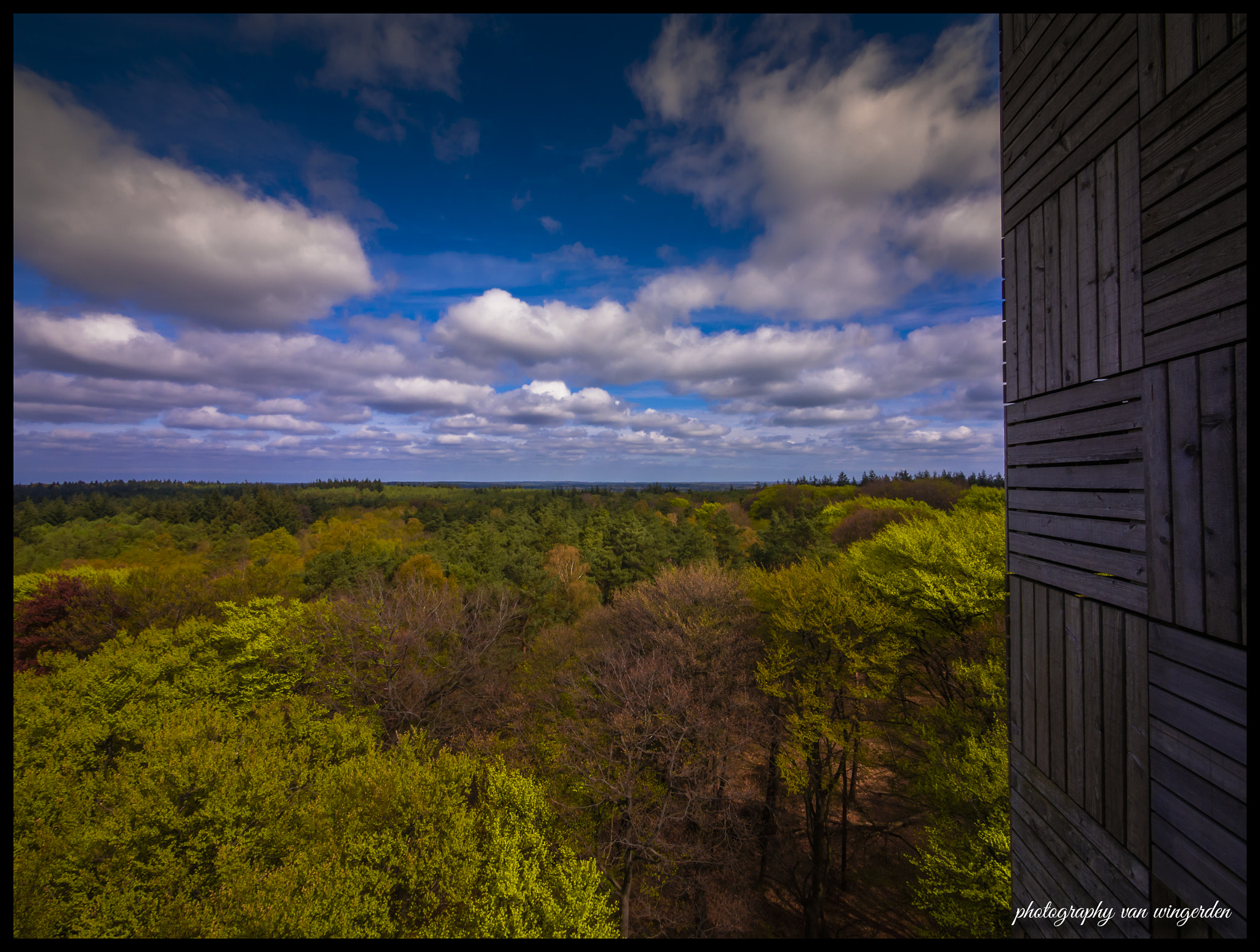 Olympus OM-D E-M10 II + Panasonic Lumix G Vario 7-14mm F4 ASPH sample photo. View from a watchtower near maarn photography