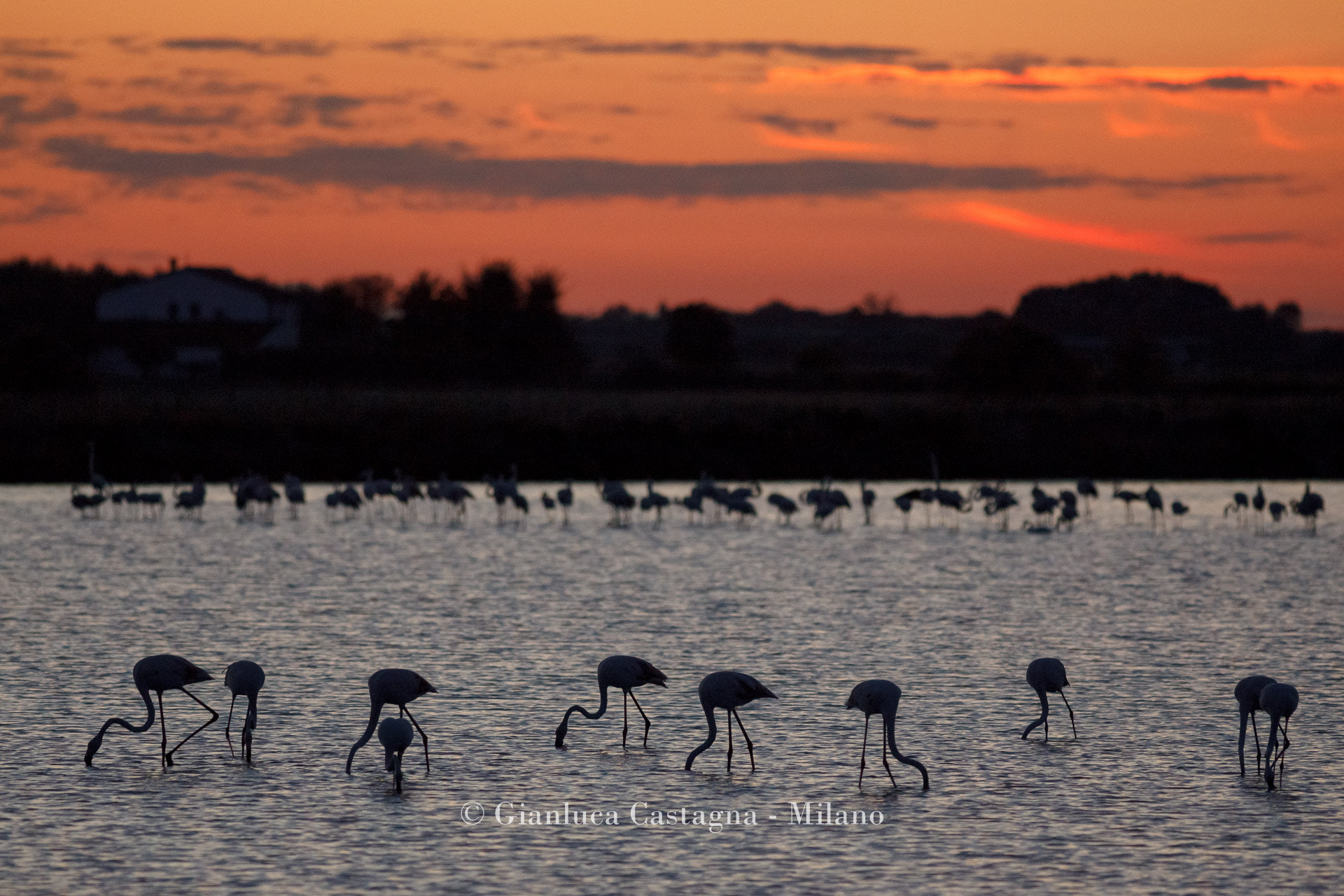 Canon EF 400mm F5.6L USM sample photo. 354201408hacervia-6 photography