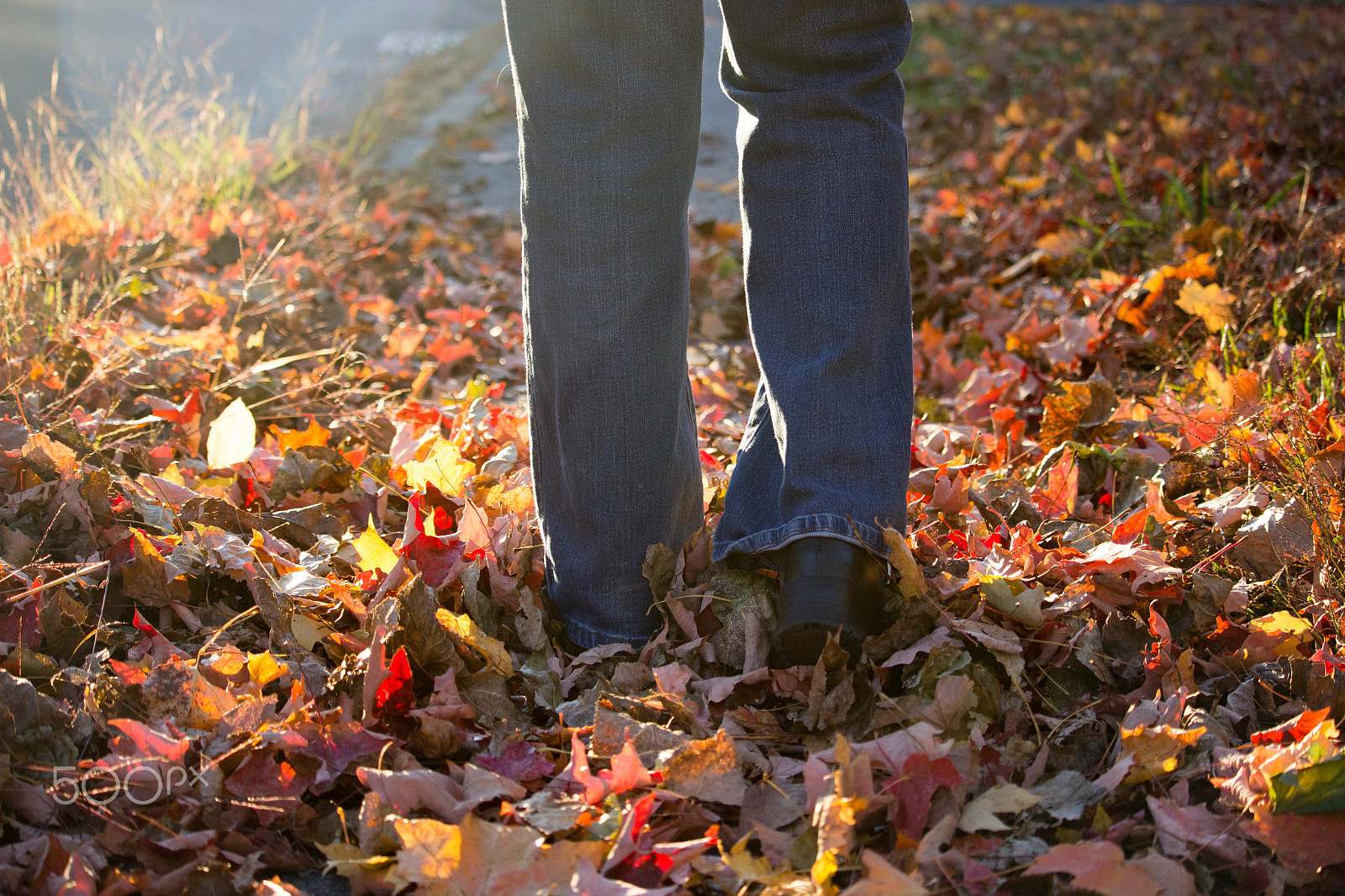 Canon EF-S 55-250mm F4-5.6 IS STM sample photo. Autum walk photography