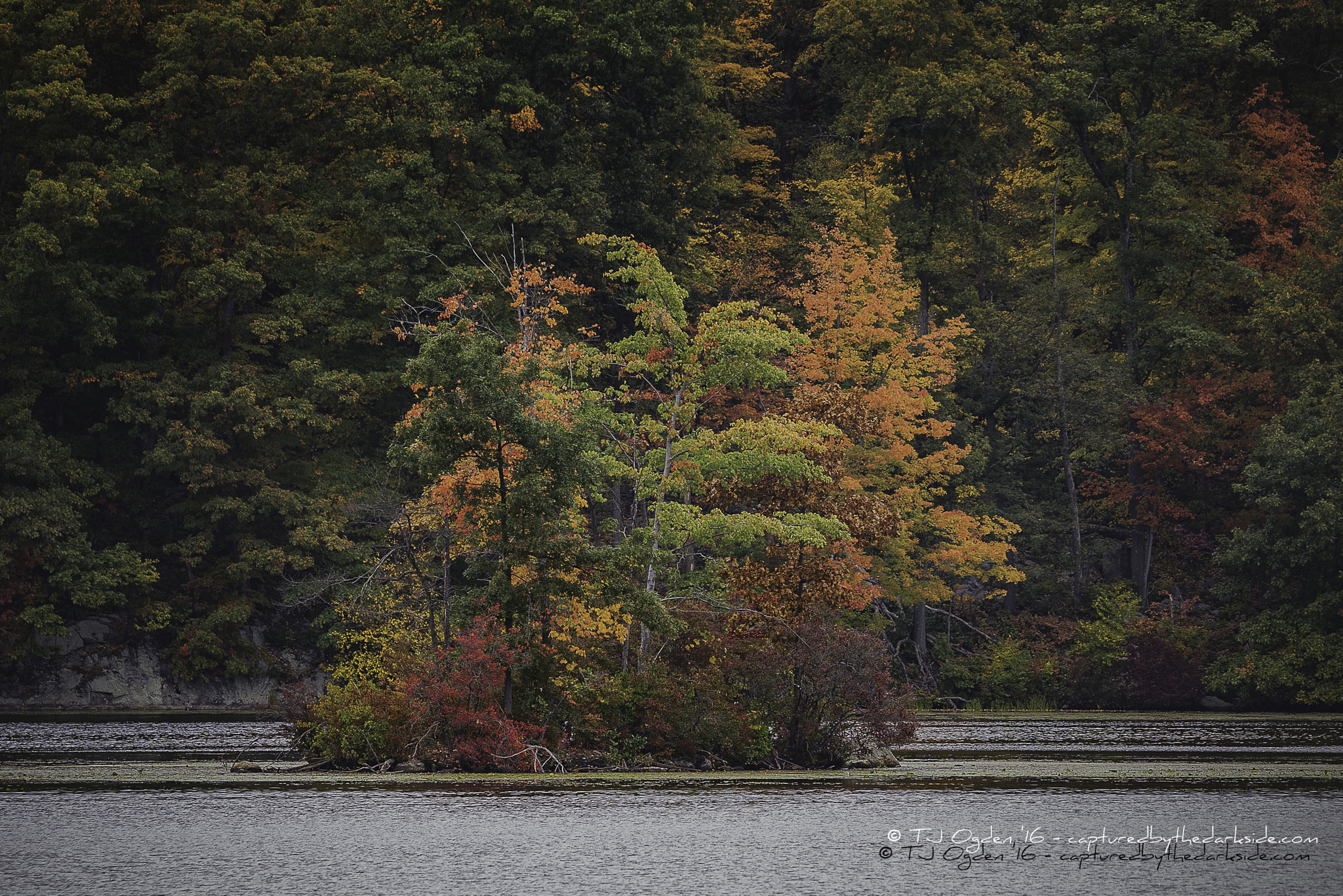 Sigma 150-600mm F5-6.3 DG OS HSM | C sample photo. Indian kill small island photography