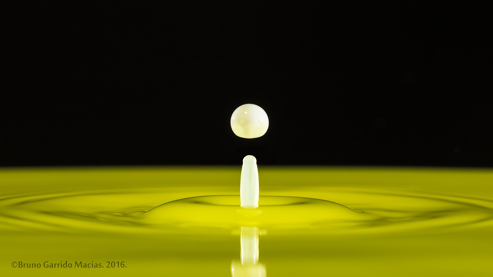 Sigma 150mm f/2.8 EX DG OS HSM APO Macro sample photo. Instante photography