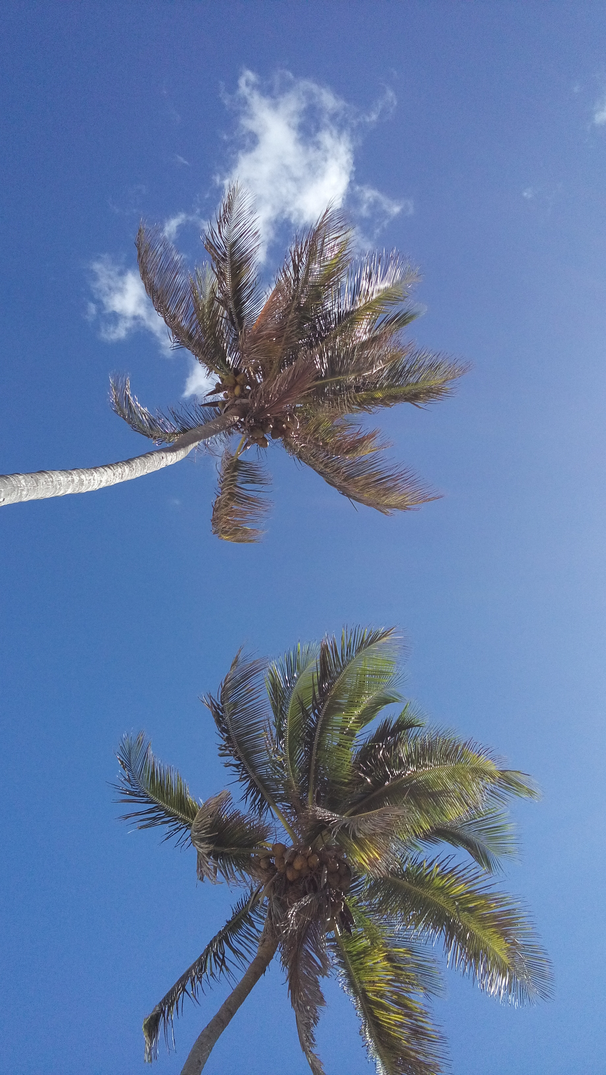 LG H500F sample photo