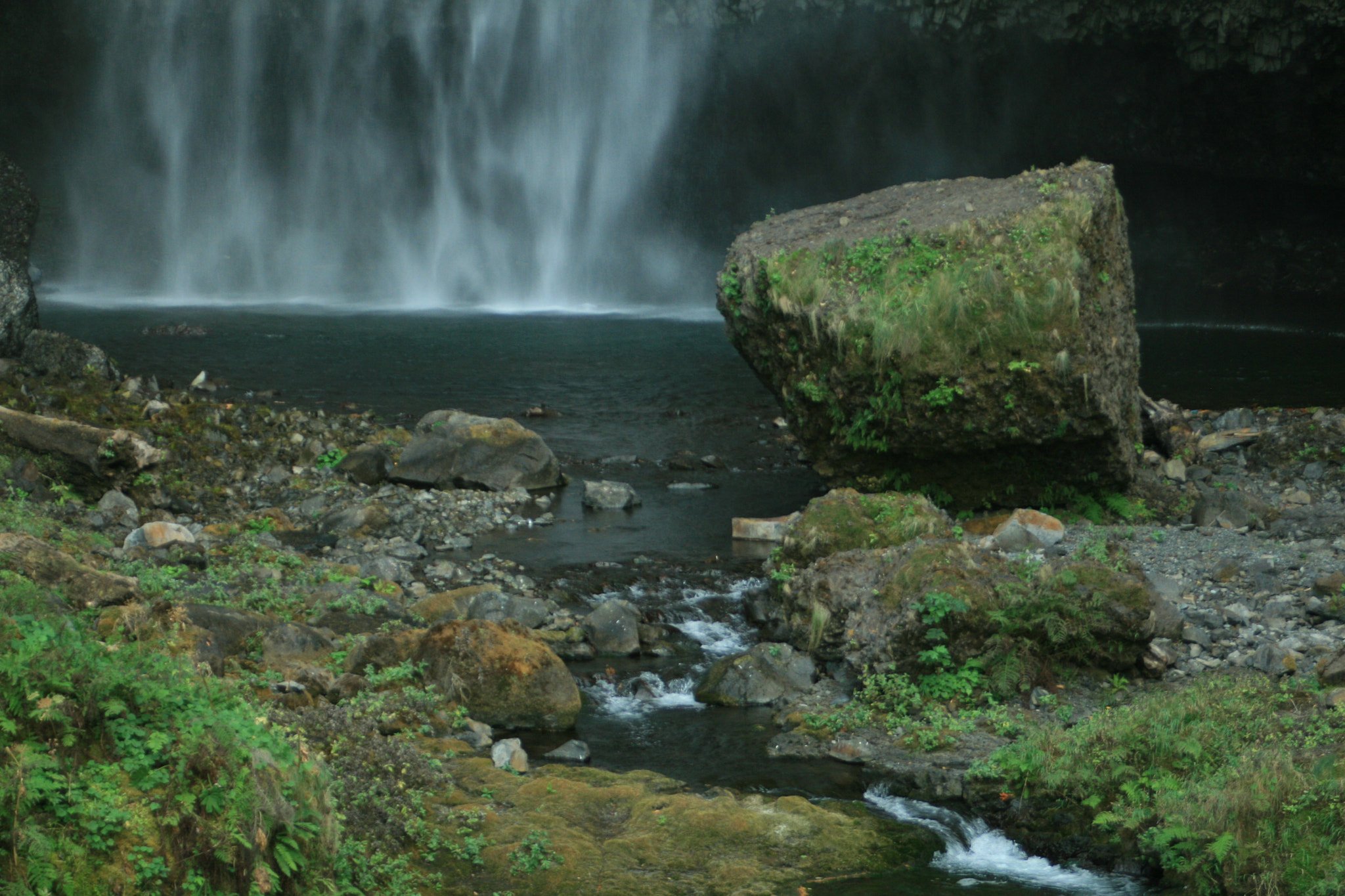 Canon EF 28-80mm f/3.5-5.6 USM IV sample photo. Img photography