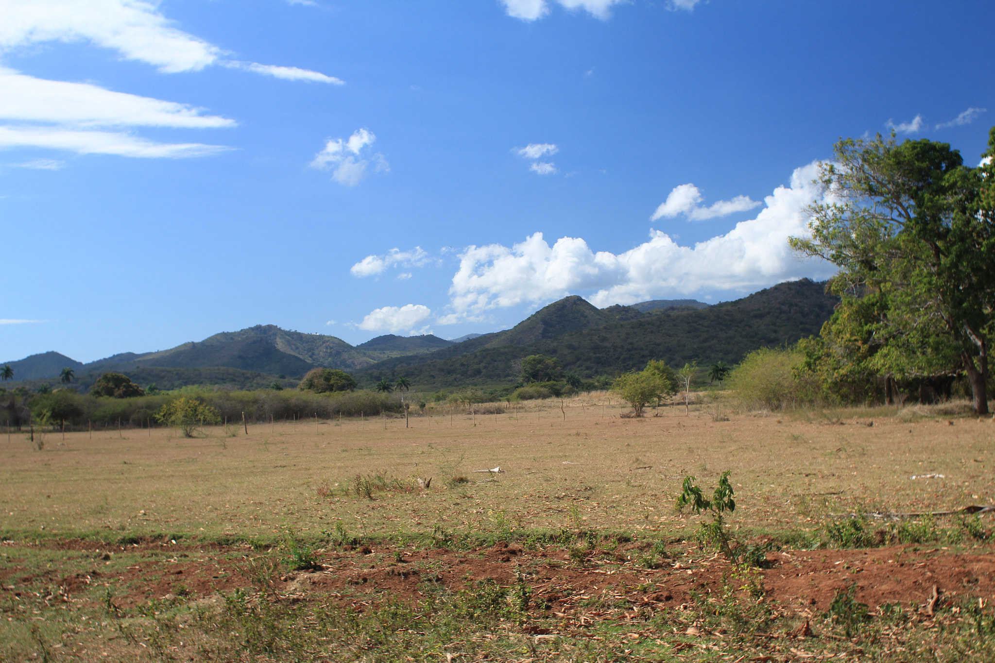 Canon EF 28-80mm f/3.5-5.6 USM IV sample photo. Img photography