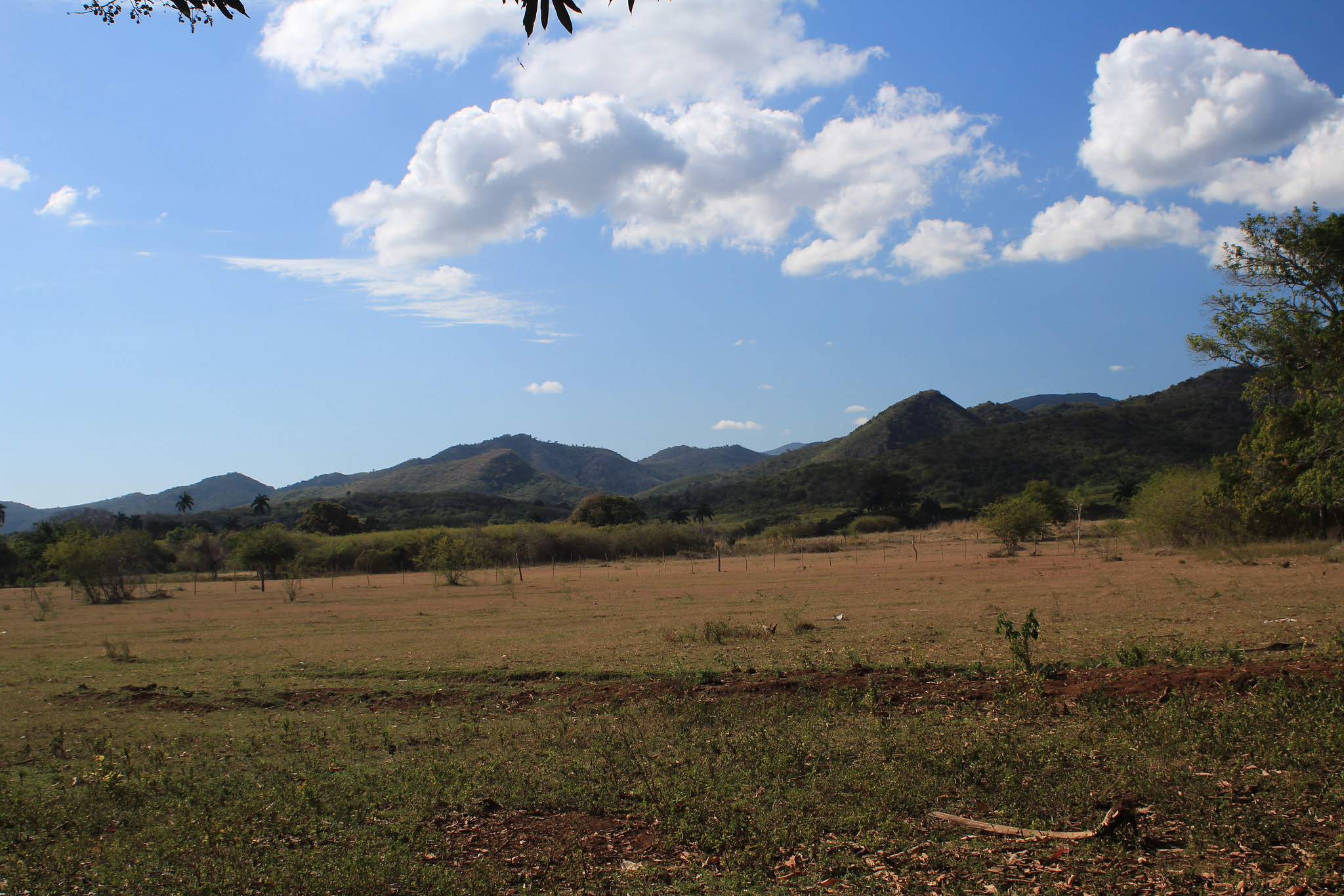Canon EF 28-80mm f/3.5-5.6 USM IV sample photo. Img photography