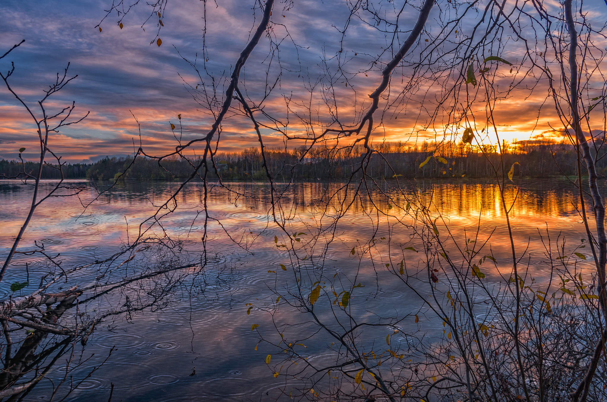 Pentax smc DA 15mm F4 ED AL Limited sample photo. Морось... photography
