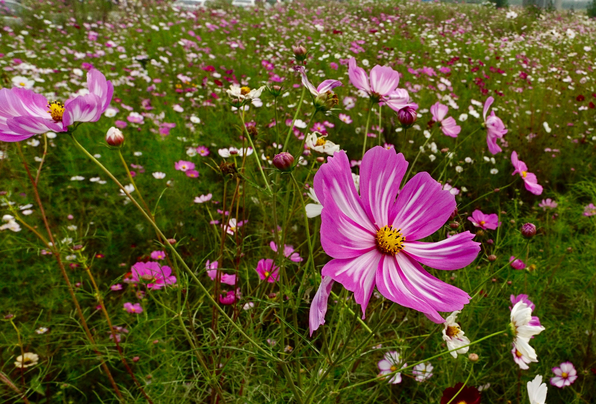 Sony a7 II + ZEISS Touit 12mm F2.8 sample photo