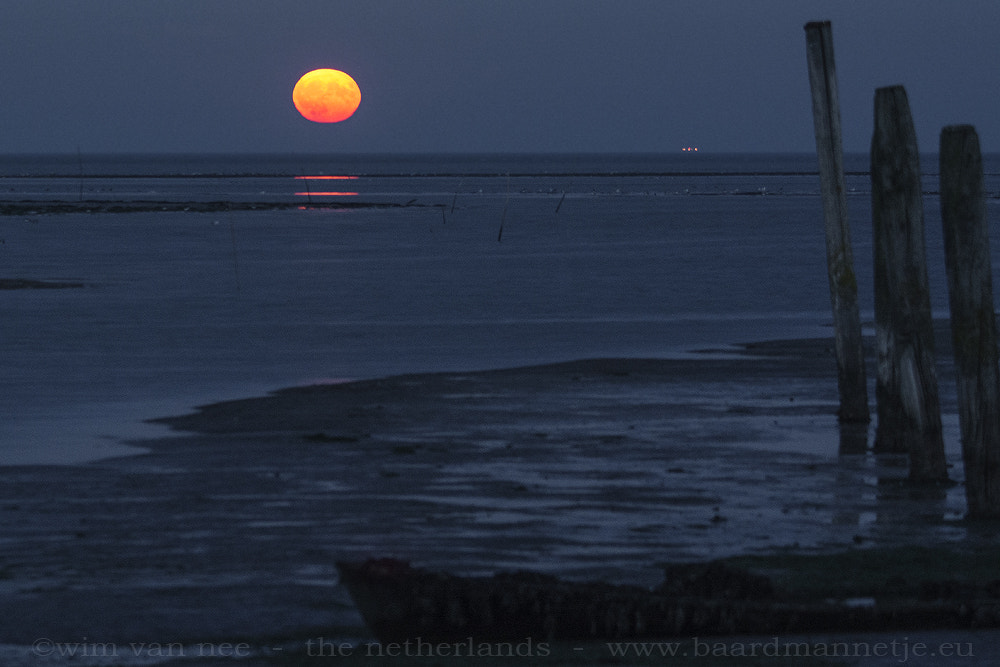 Nikon D7100 sample photo. Moonrise wadden sea photography