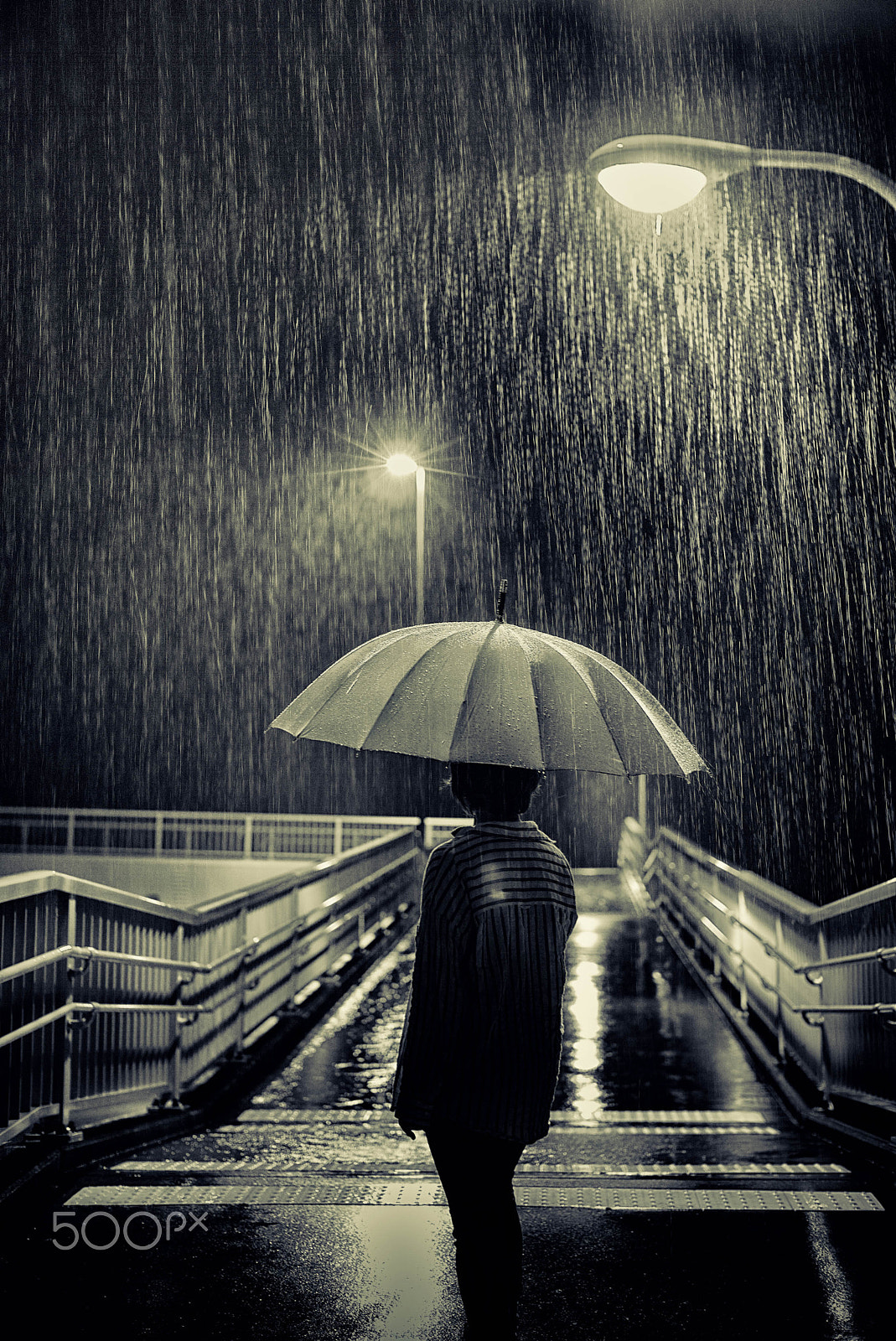 Leica Noctilux-M 50mm F0.95 ASPH sample photo. Rain photography