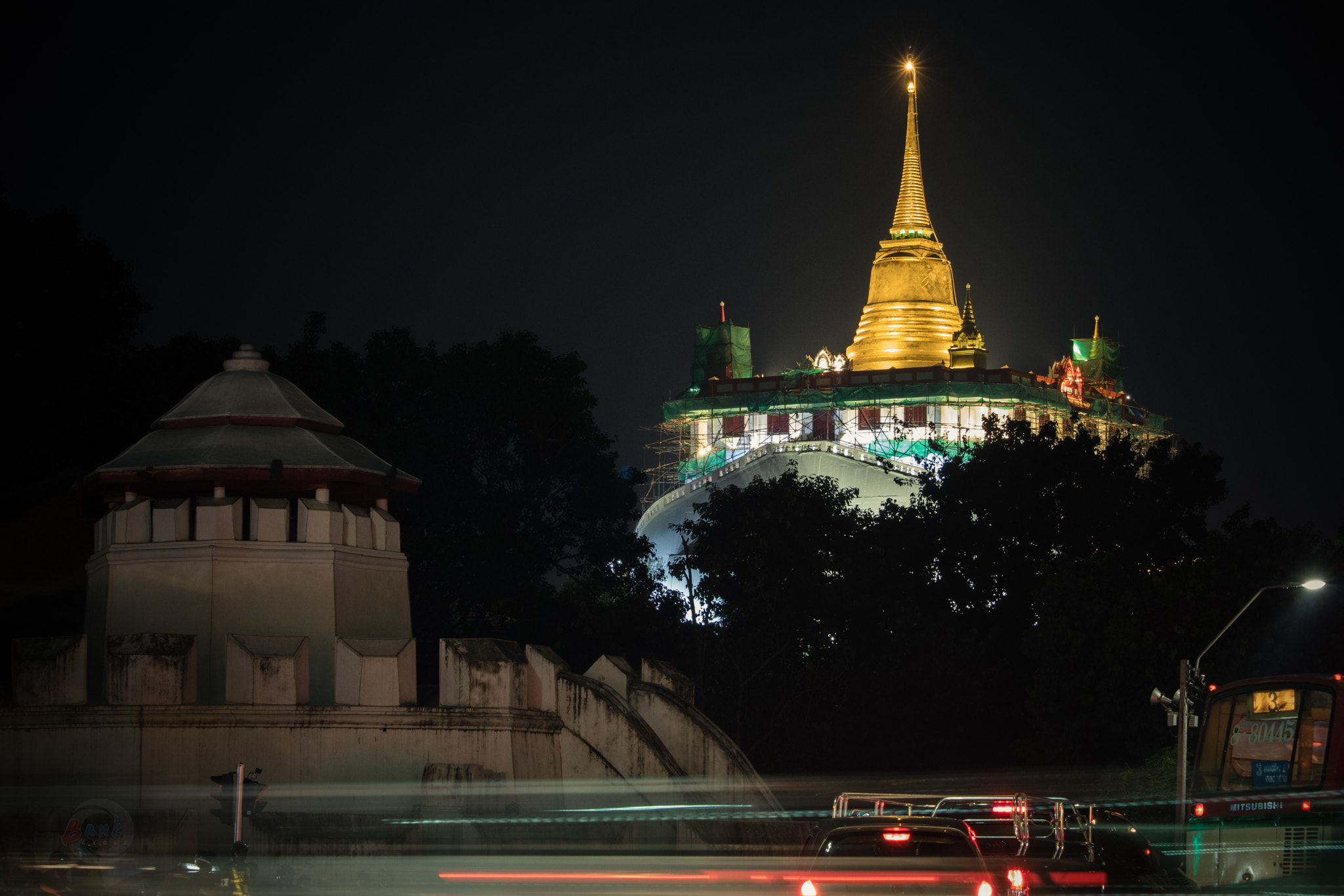 Canon EF-S 55-250mm F4-5.6 IS STM sample photo. The golden mount photography