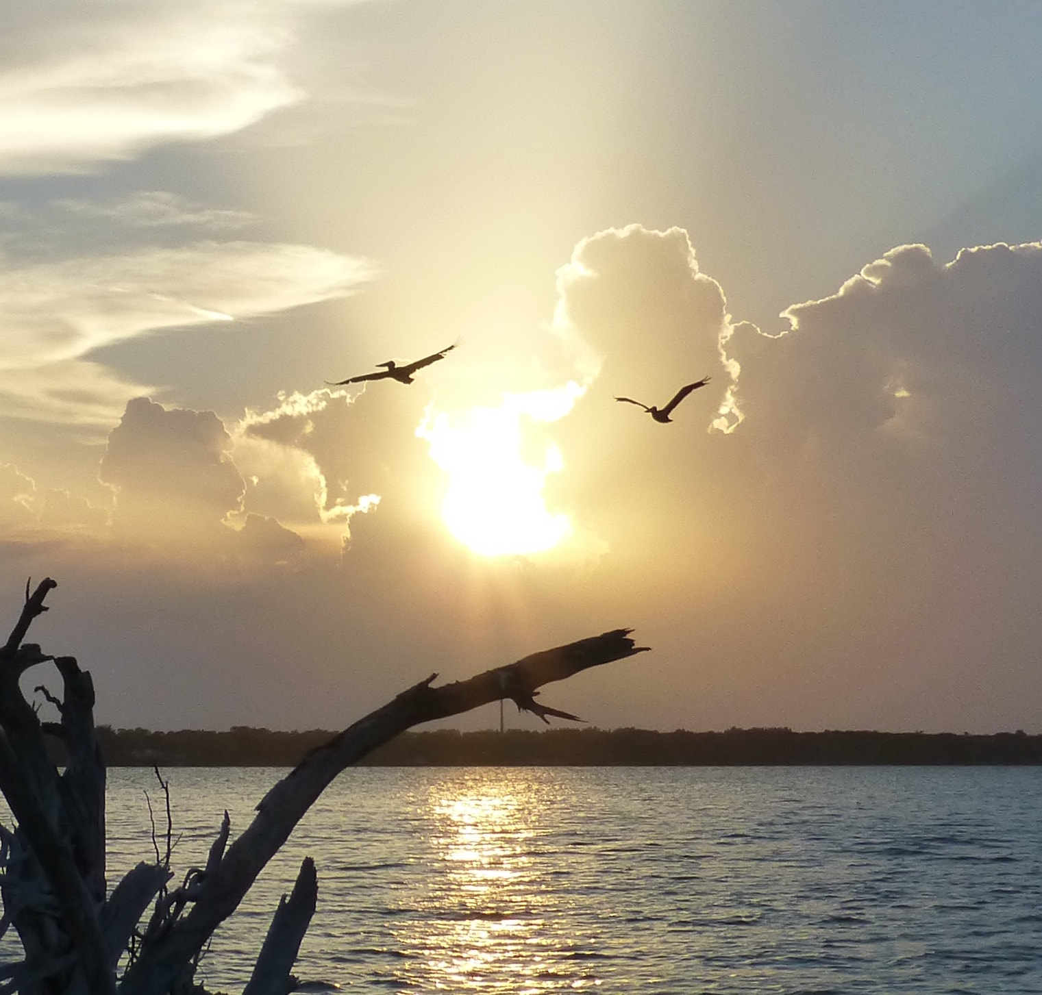 Panasonic Lumix DMC-ZS20 (Lumix DMC-TZ30) sample photo. Sunset on the lagoon photography