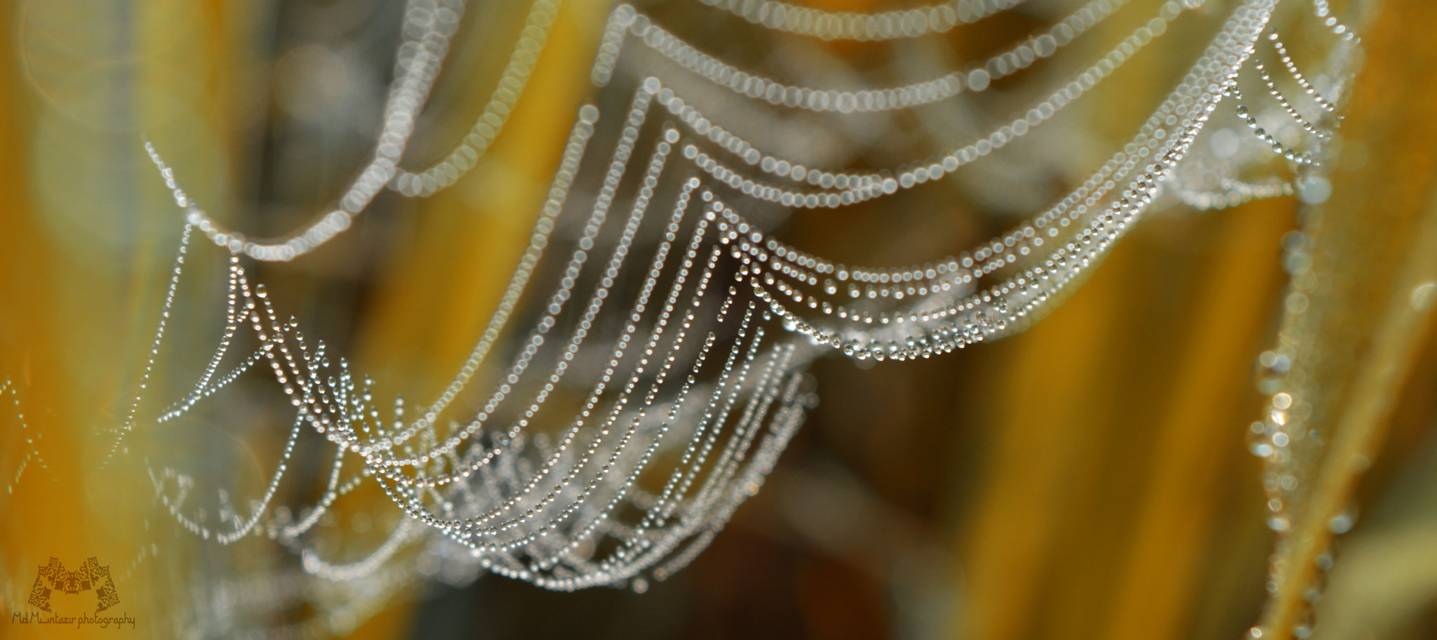 Nikon D3200 + AF Zoom-Nikkor 28-80mm f/3.5-5.6D sample photo. Hanging drops photography