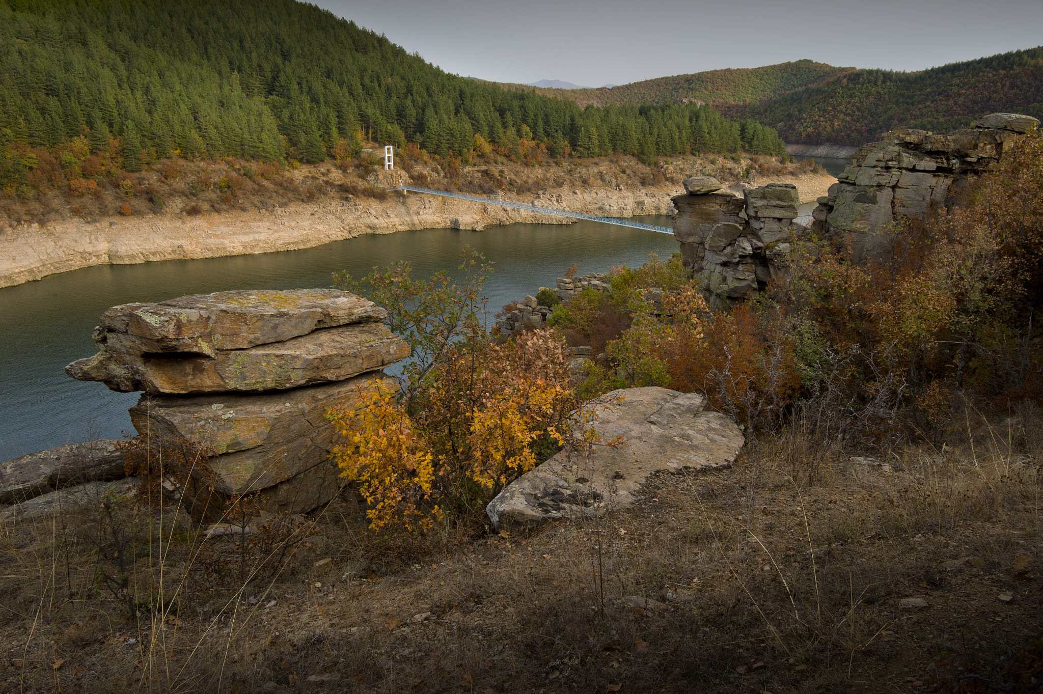 Nikon D4 sample photo. Fall photography