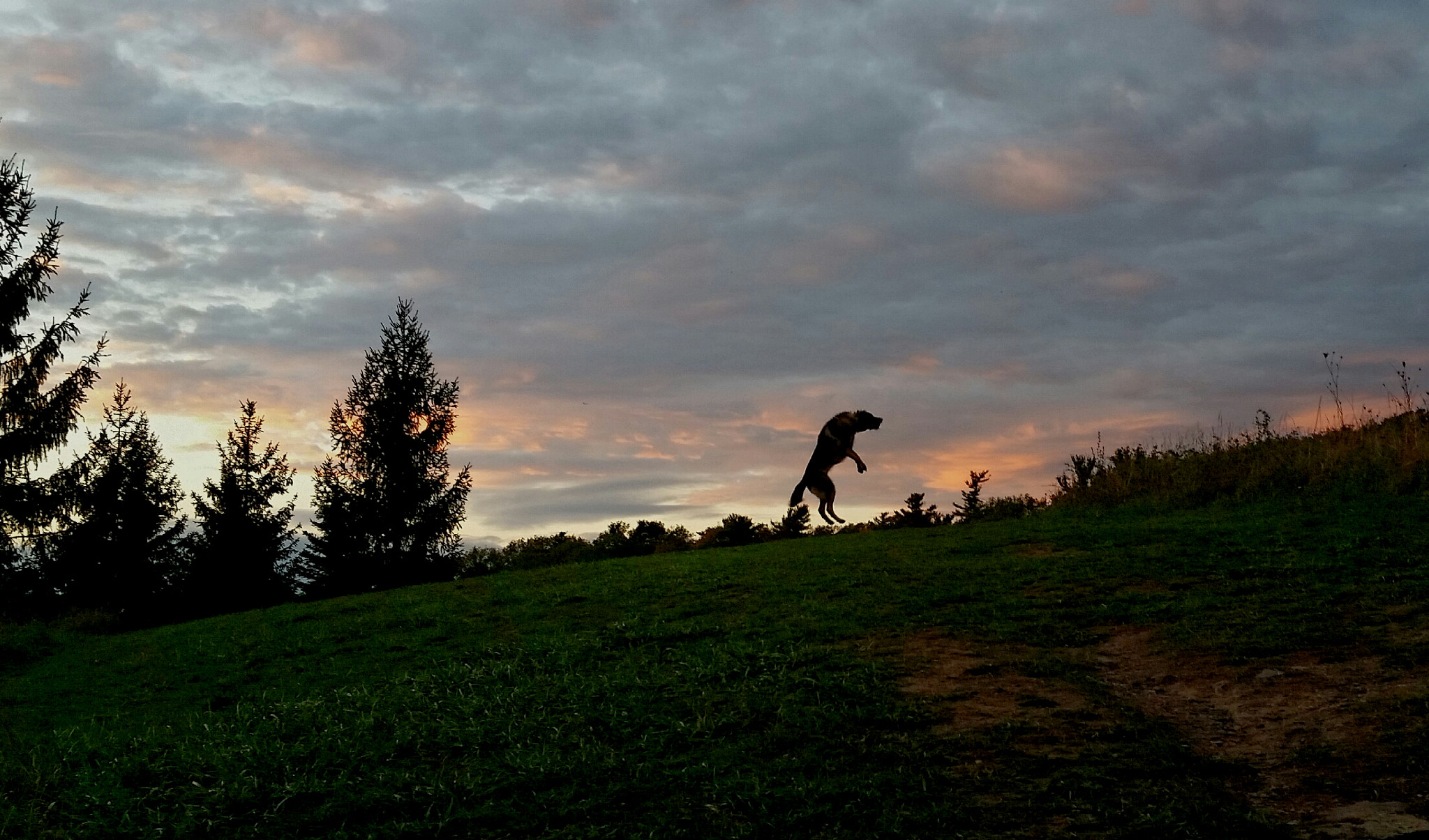 Samsung Galaxy S5 Active sample photo. Sunset fetch photography