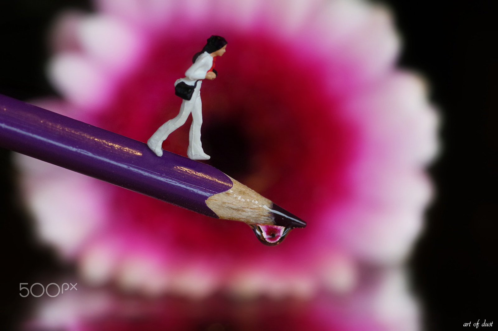 Pentax smc D-FA 100mm F2.8 macro sample photo. My dropland :-) photography
