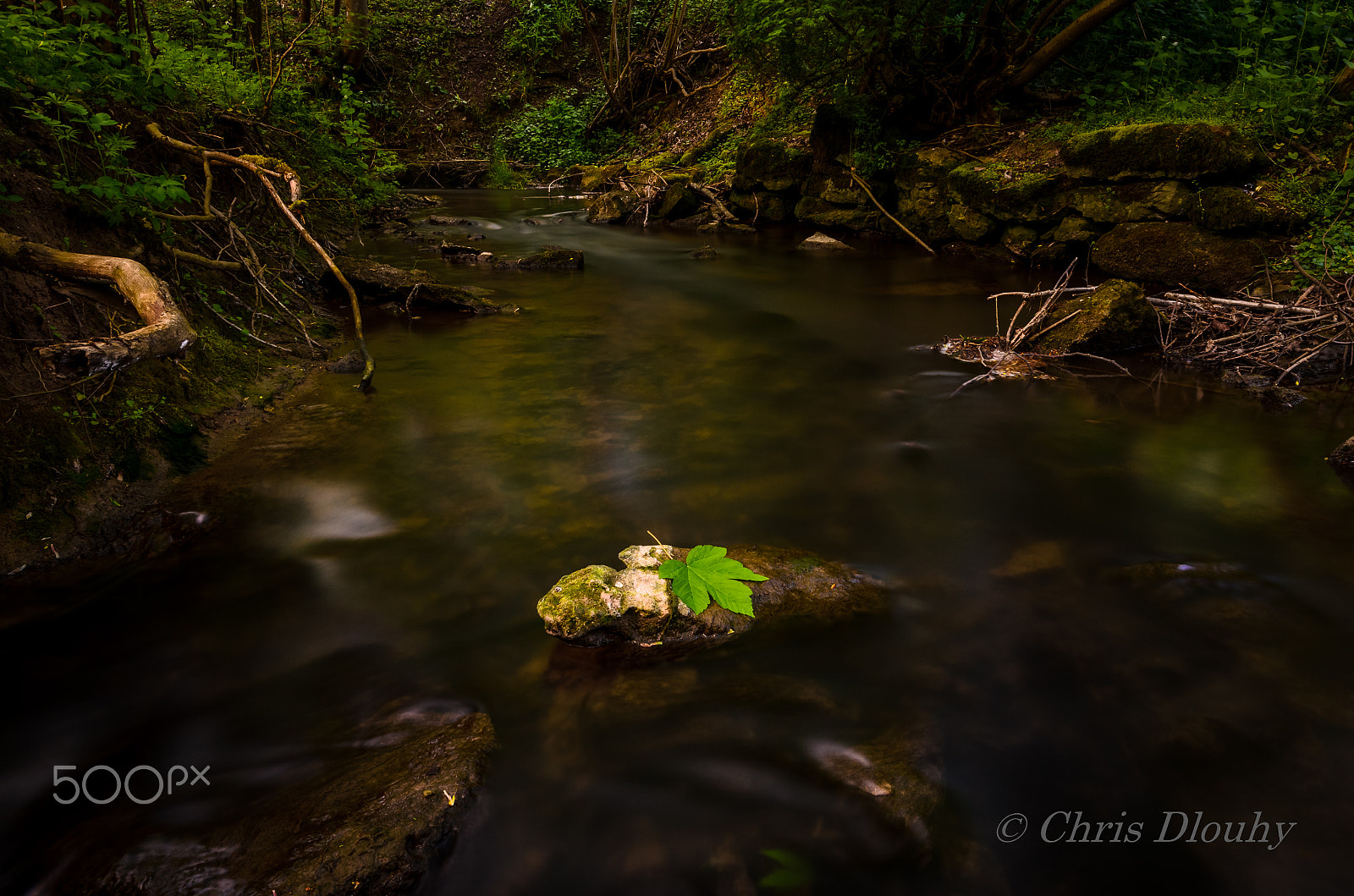 Nikon AF-S Nikkor 14-24mm F2.8G ED sample photo. Creek photography