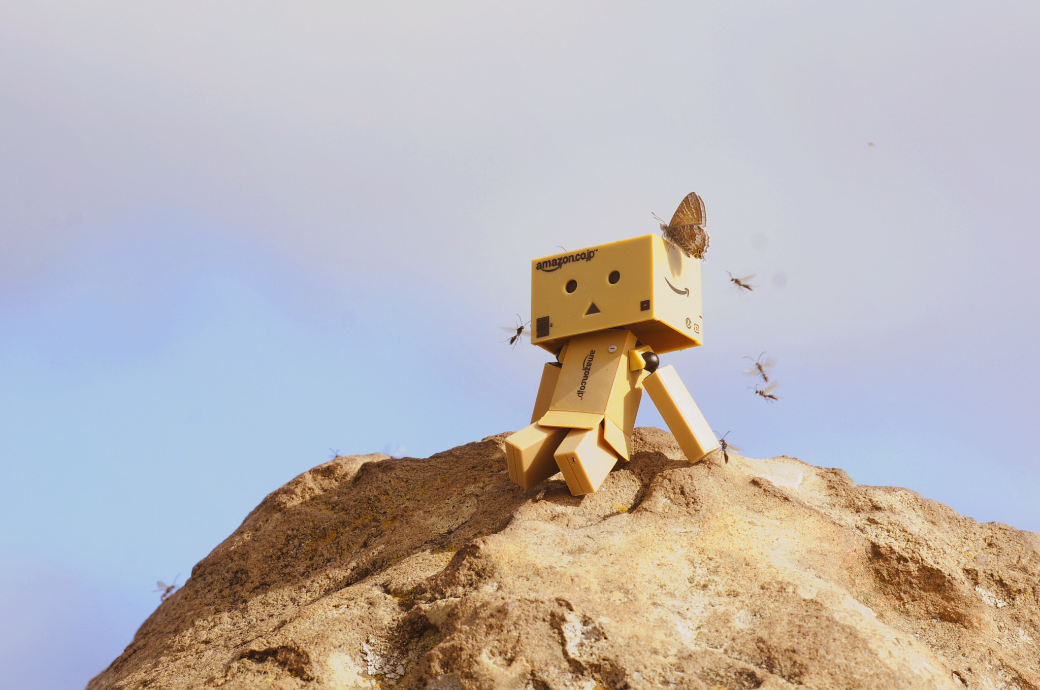 Nikon D300S sample photo. Danbo making new friends photography